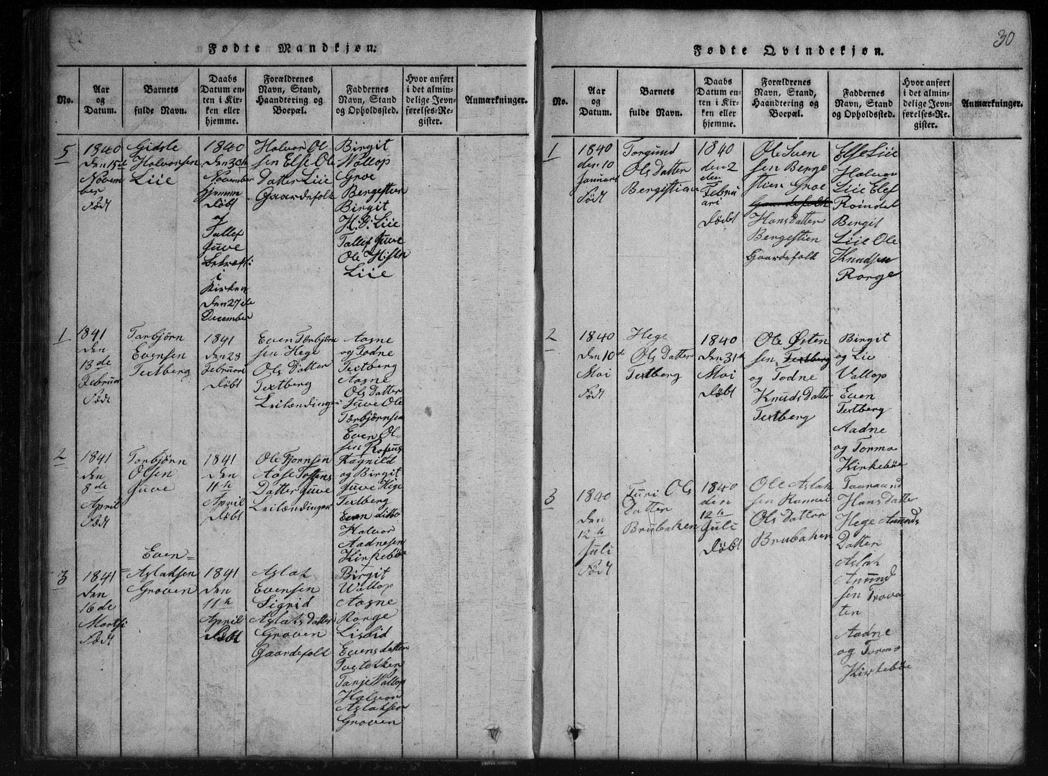 Rauland kirkebøker, AV/SAKO-A-292/G/Gb/L0001: Parish register (copy) no. II 1, 1815-1886, p. 30