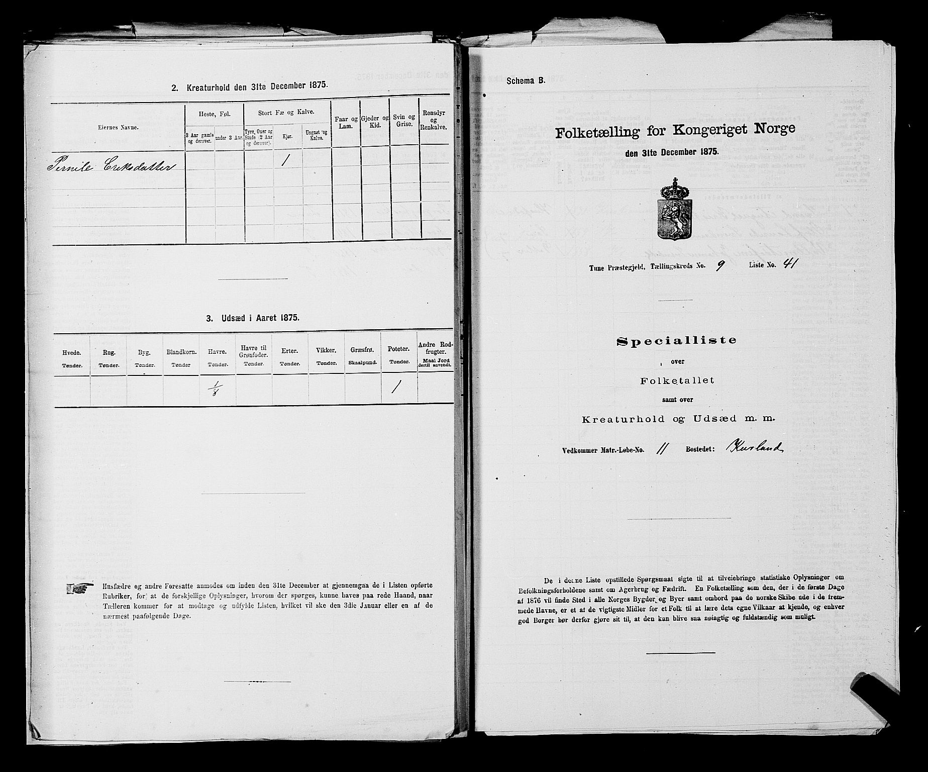 RA, 1875 census for 0130P Tune, 1875, p. 1635