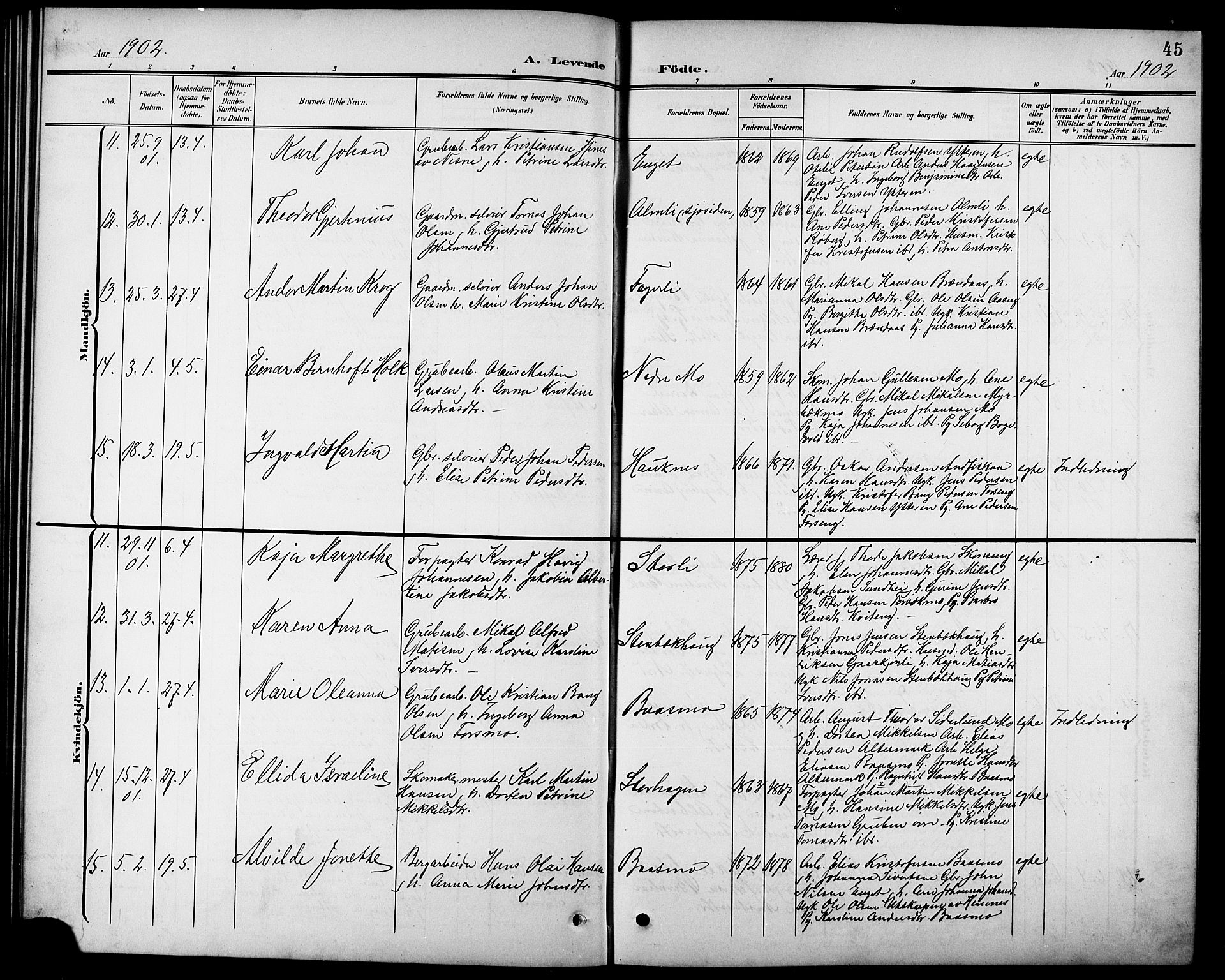 Ministerialprotokoller, klokkerbøker og fødselsregistre - Nordland, AV/SAT-A-1459/827/L0422: Parish register (copy) no. 827C11, 1899-1912, p. 45