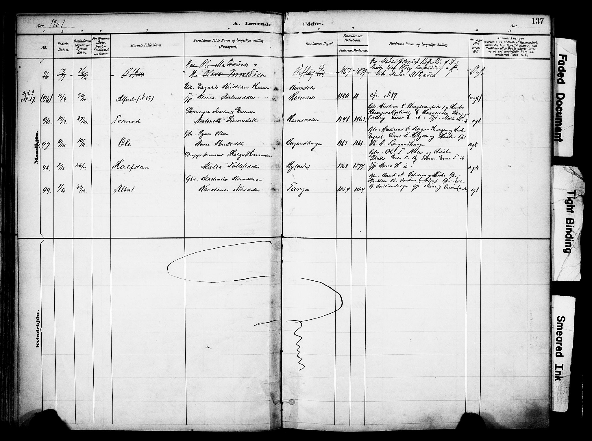 Ringsaker prestekontor, AV/SAH-PREST-014/K/Ka/L0017: Parish register (official) no. 17, 1891-1902, p. 137