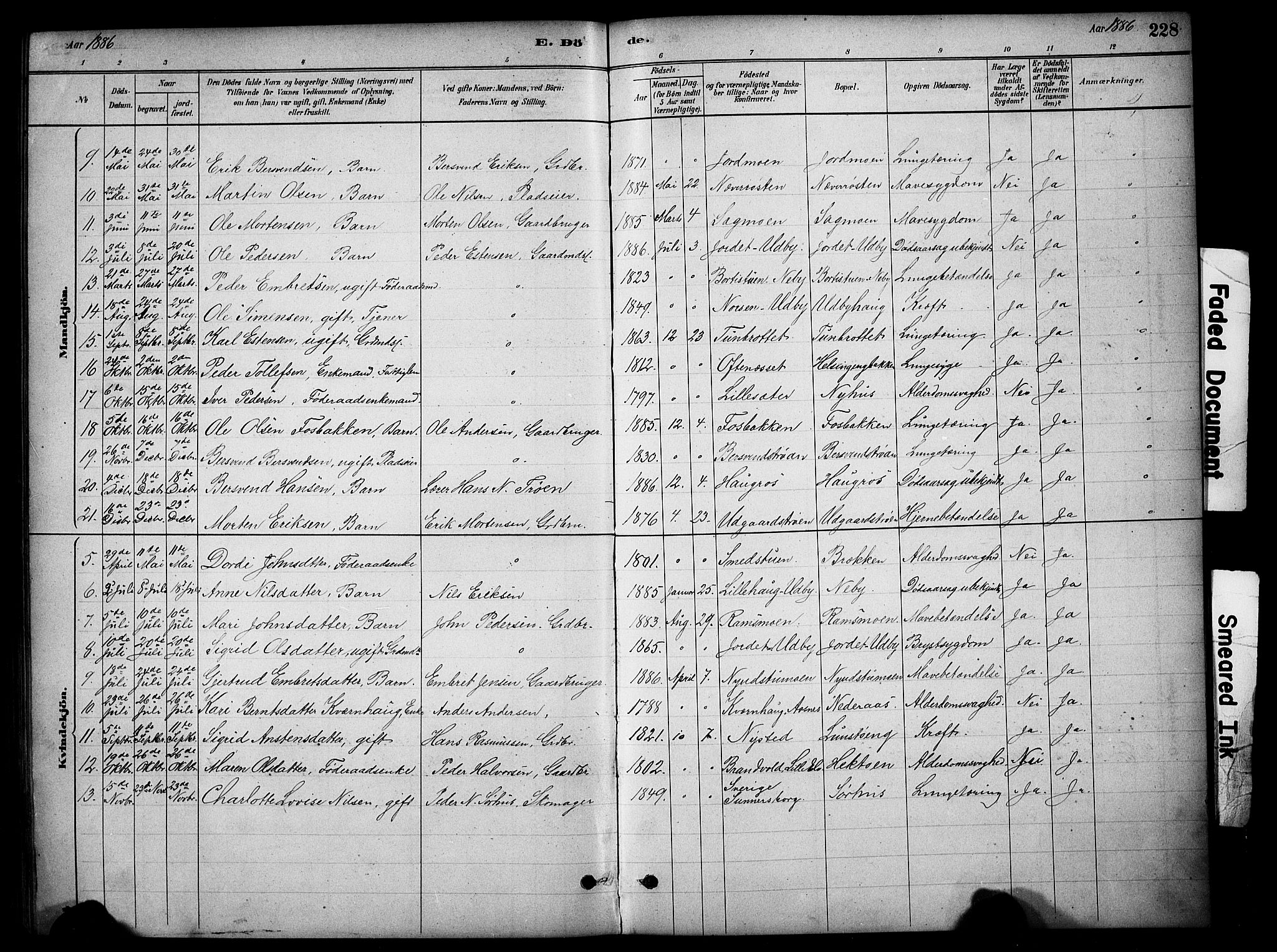 Tynset prestekontor, AV/SAH-PREST-058/H/Ha/Hab/L0006: Parish register (copy) no. 6, 1880-1899, p. 228