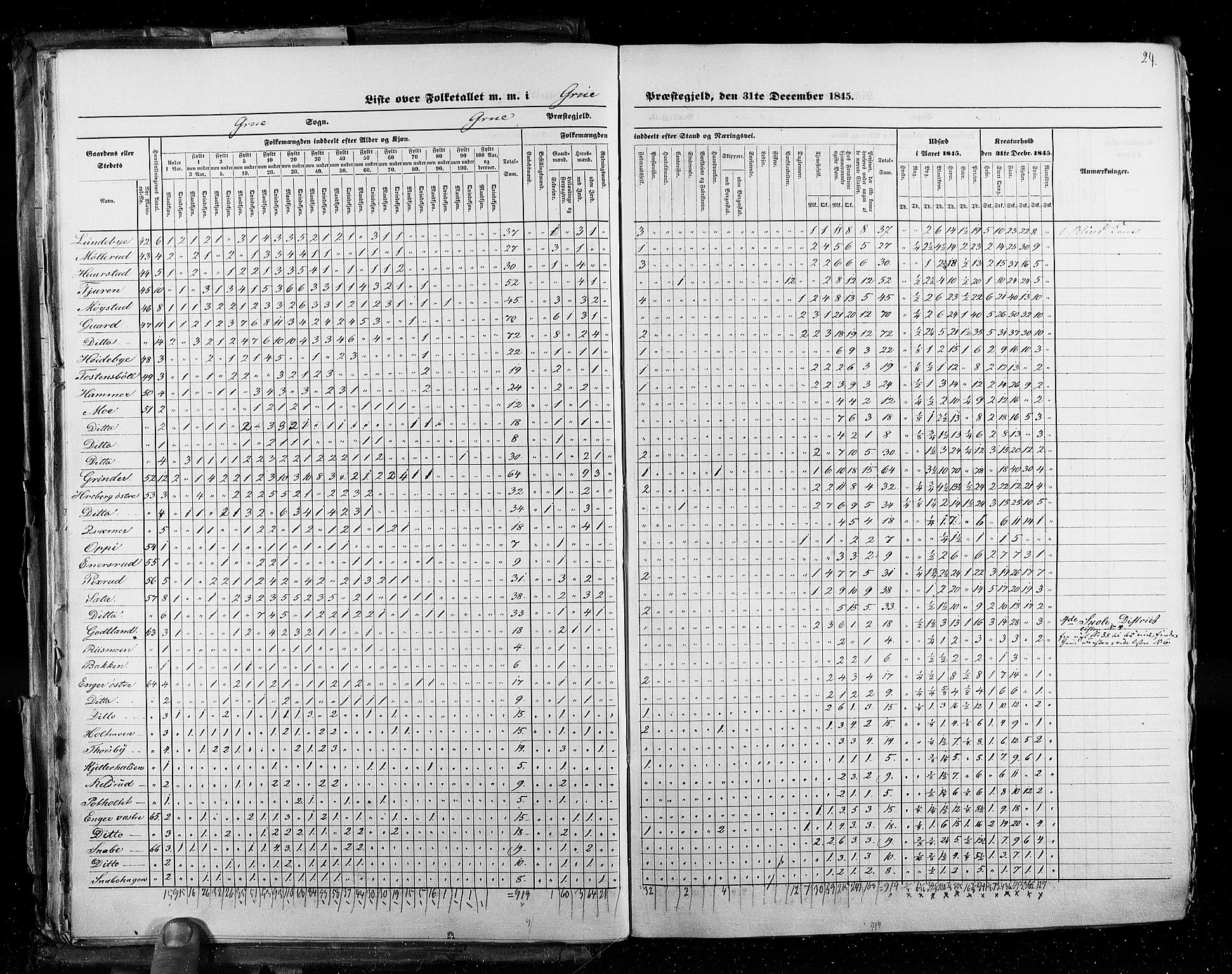 RA, Census 1845, vol. 3: Hedemarken amt og Kristians amt, 1845, p. 24