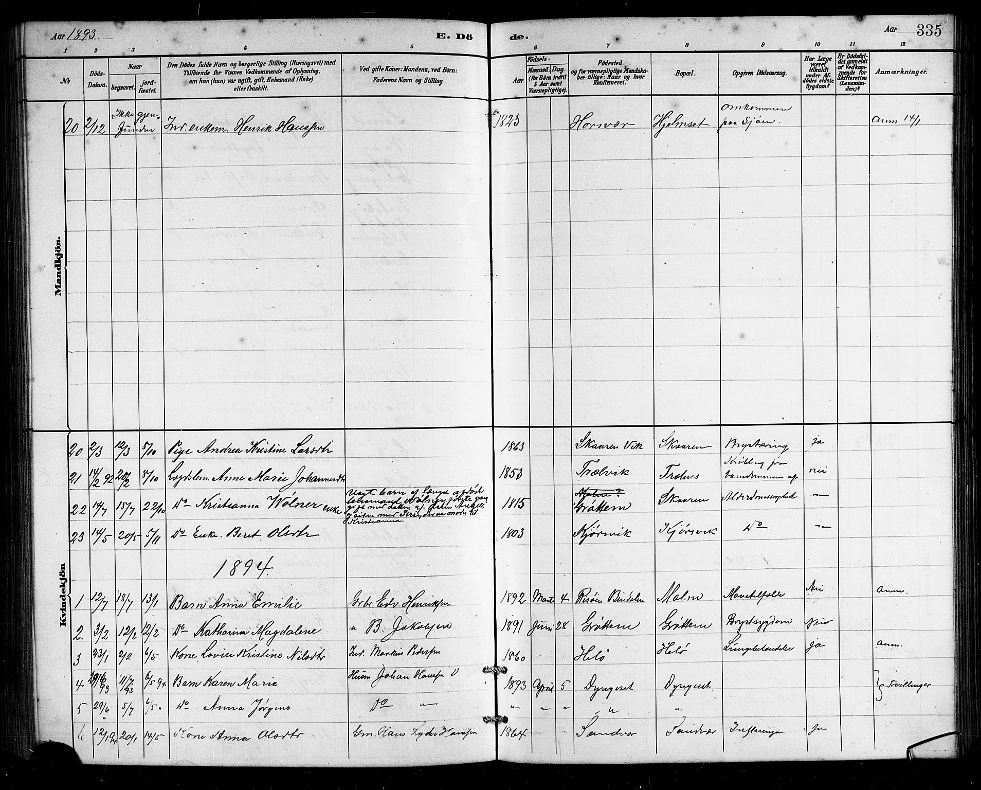 Ministerialprotokoller, klokkerbøker og fødselsregistre - Nordland, SAT/A-1459/812/L0188: Parish register (copy) no. 812C06, 1884-1912, p. 335