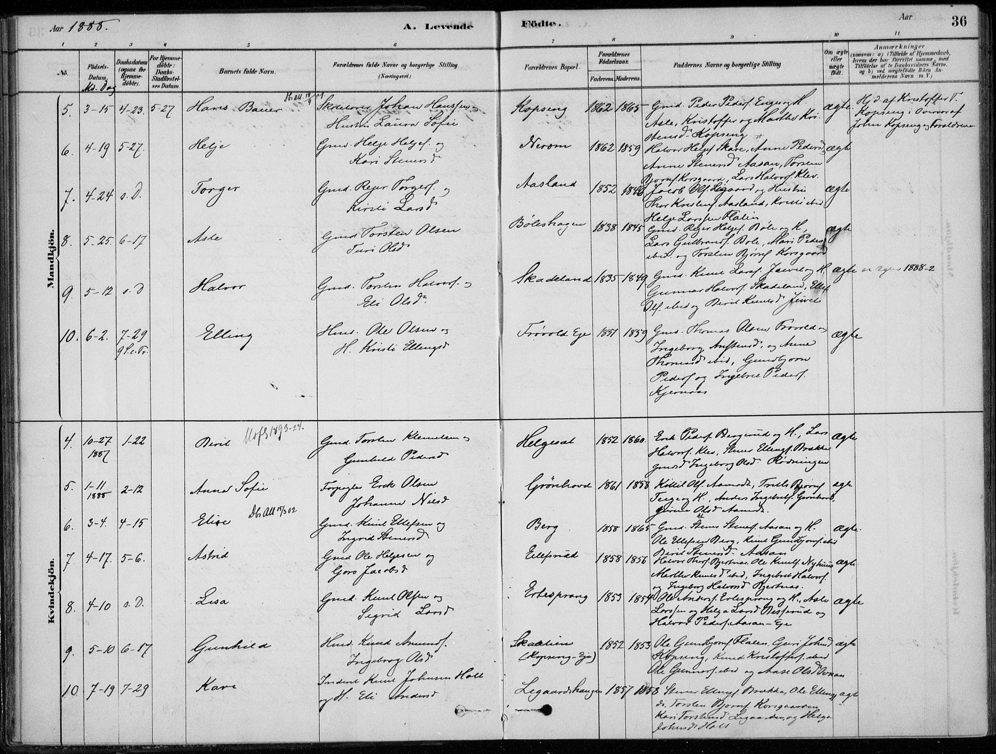 Sigdal kirkebøker, AV/SAKO-A-245/F/Fc/L0001: Parish register (official) no. III 1, 1879-1893, p. 36