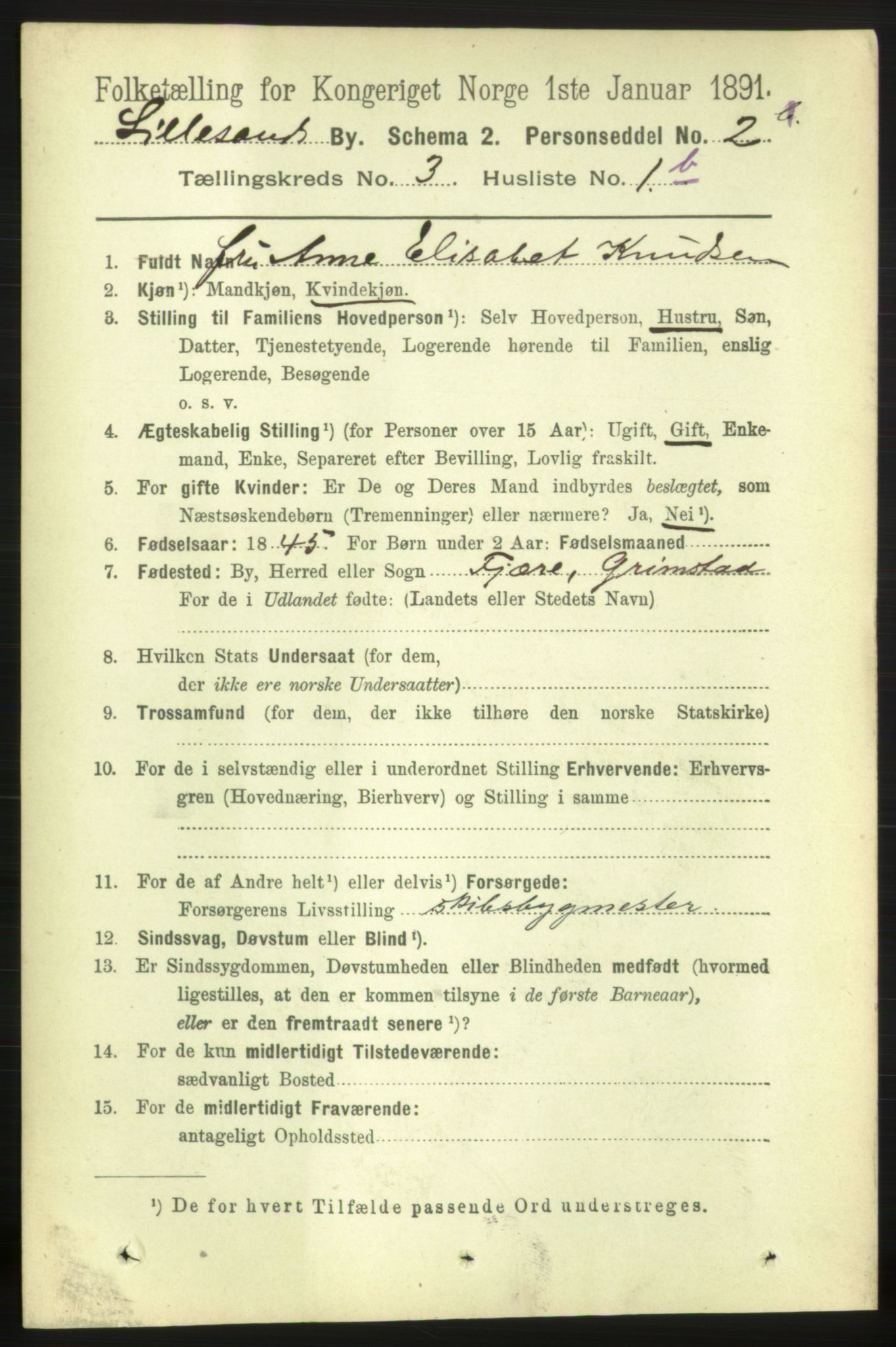 RA, 1891 census for 0905 Lillesand, 1891, p. 643