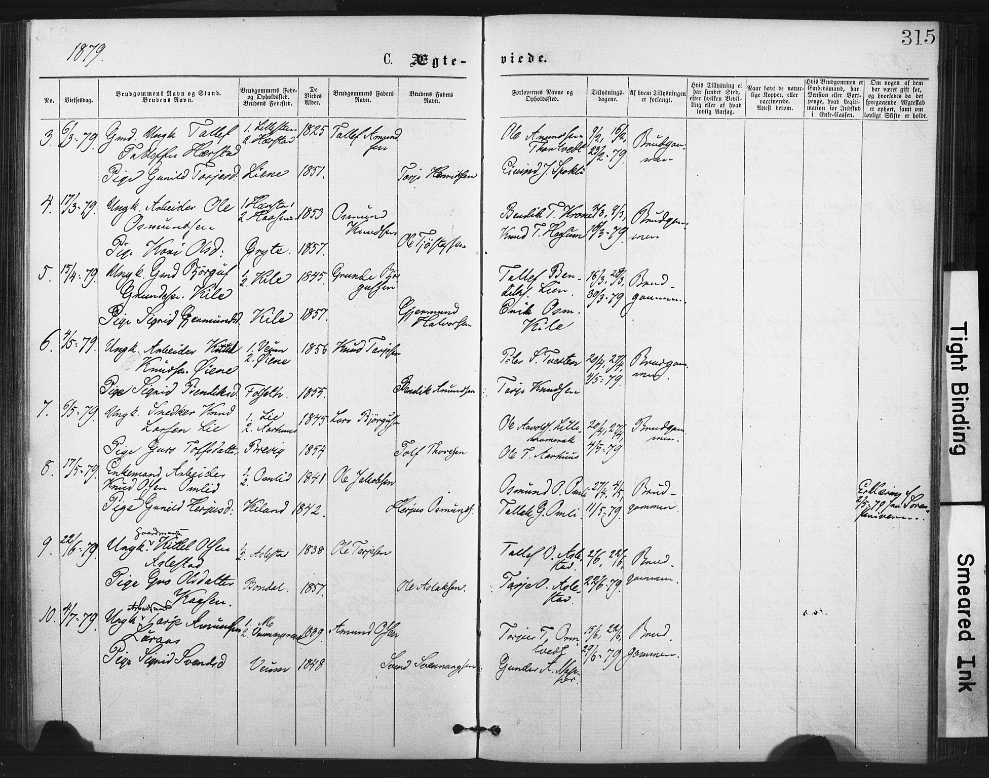 Fyresdal kirkebøker, SAKO/A-263/F/Fa/L0006: Parish register (official) no. I 6, 1872-1886, p. 315