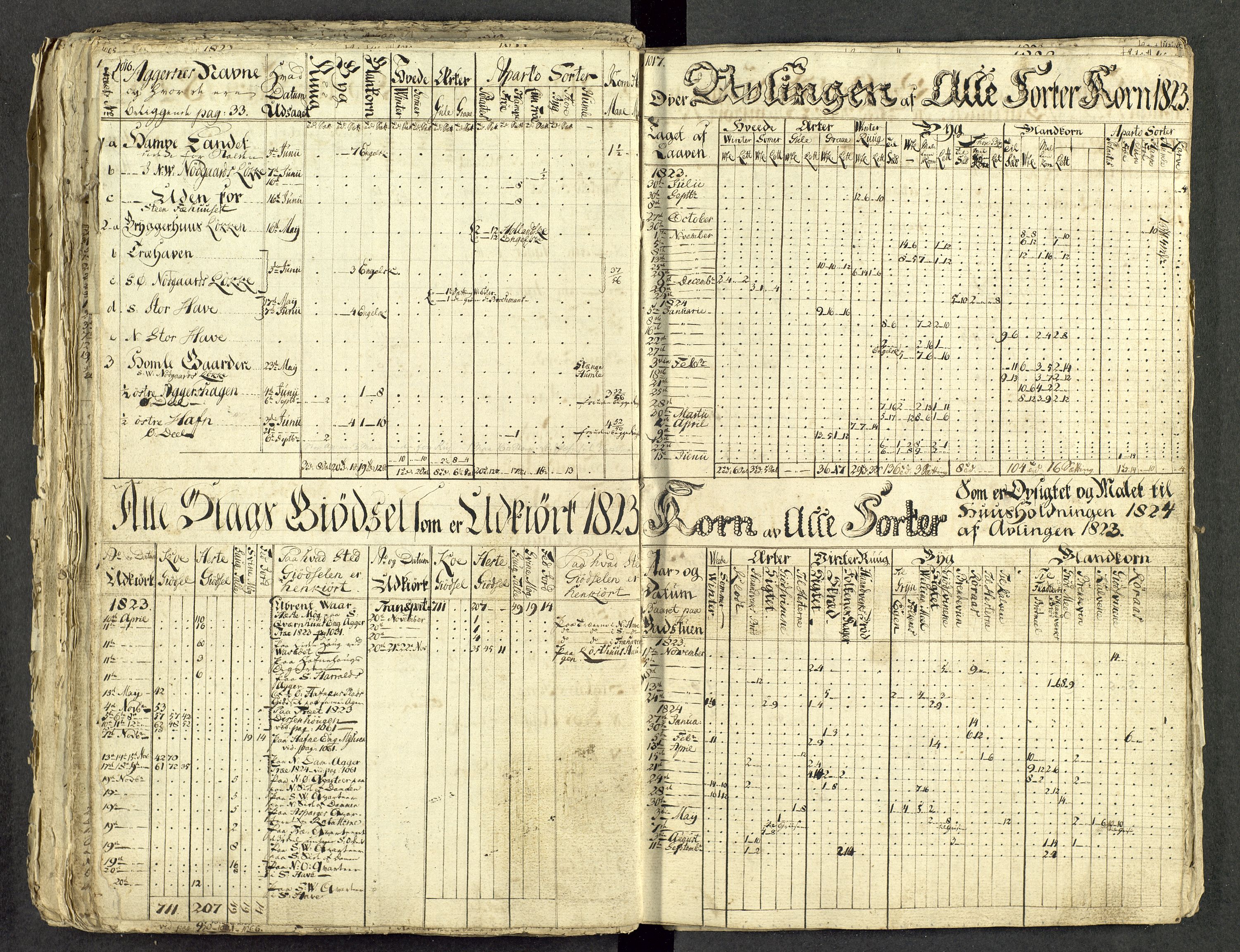 Åker i Vang, Hedmark, og familien Todderud, AV/SAH-ARK-010/G/Ga/L0004/0001: Dagbøker / Dagbok, 1812-1825, p. 180