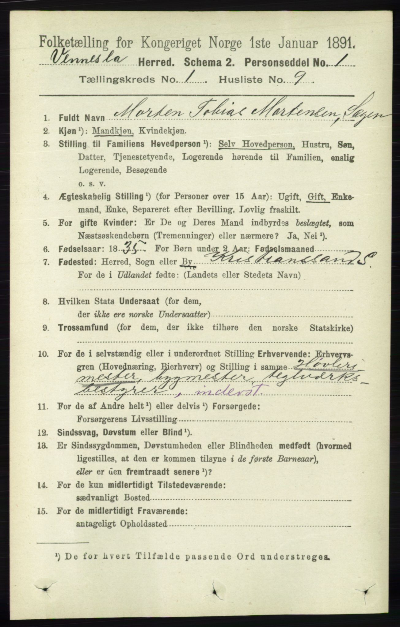 RA, 1891 census for 1014 Vennesla, 1891, p. 113