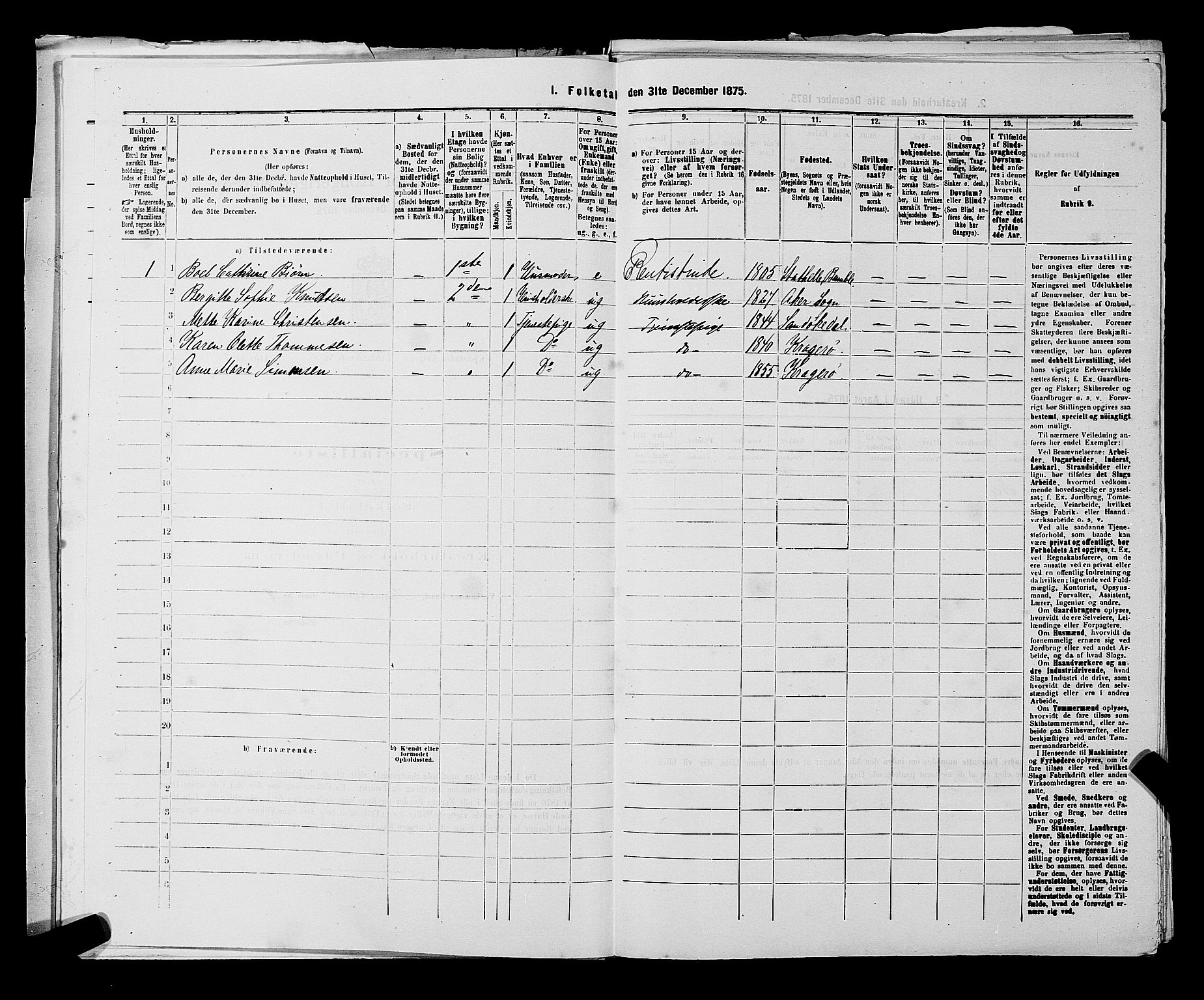 SAKO, 1875 census for 0801P Kragerø, 1875, p. 41