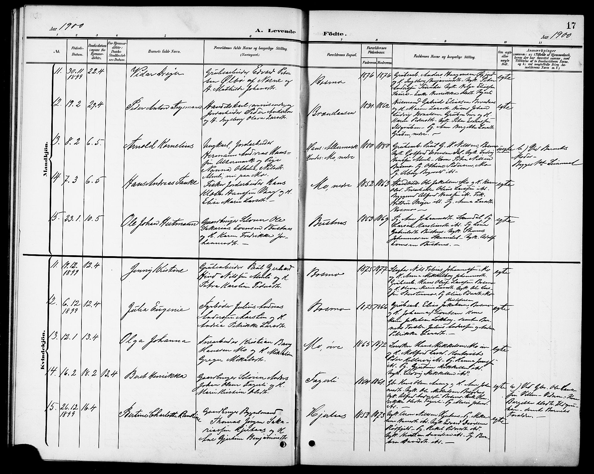 Ministerialprotokoller, klokkerbøker og fødselsregistre - Nordland, AV/SAT-A-1459/827/L0422: Parish register (copy) no. 827C11, 1899-1912, p. 17