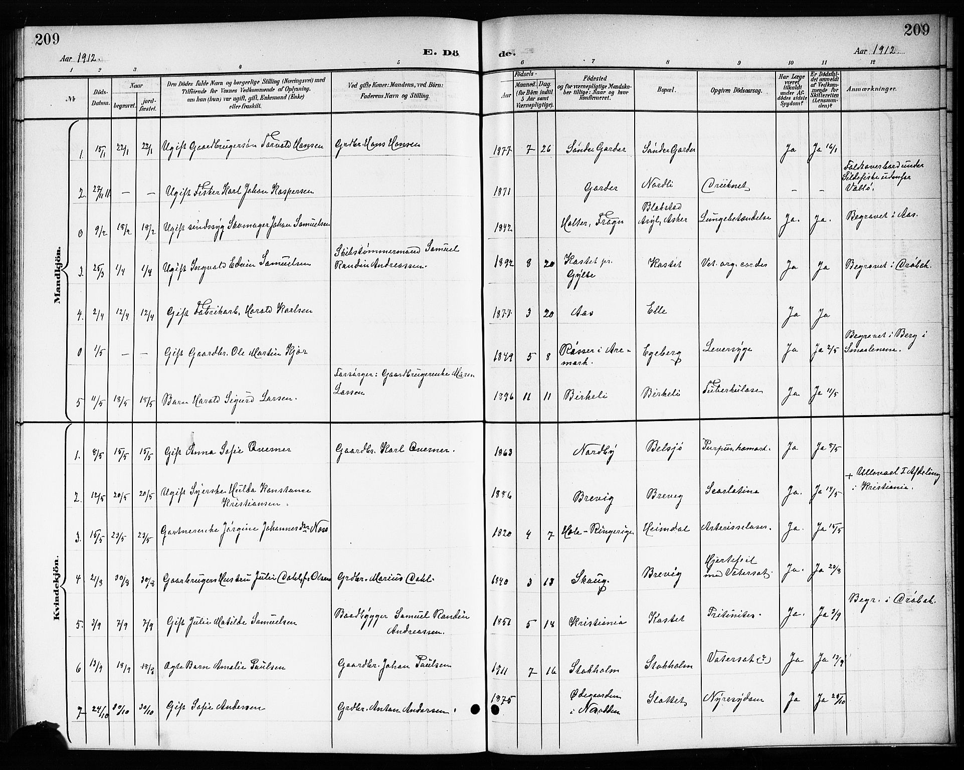 Drøbak prestekontor Kirkebøker, SAO/A-10142a/G/Gb/L0001: Parish register (copy) no. II 1, 1901-1919, p. 209