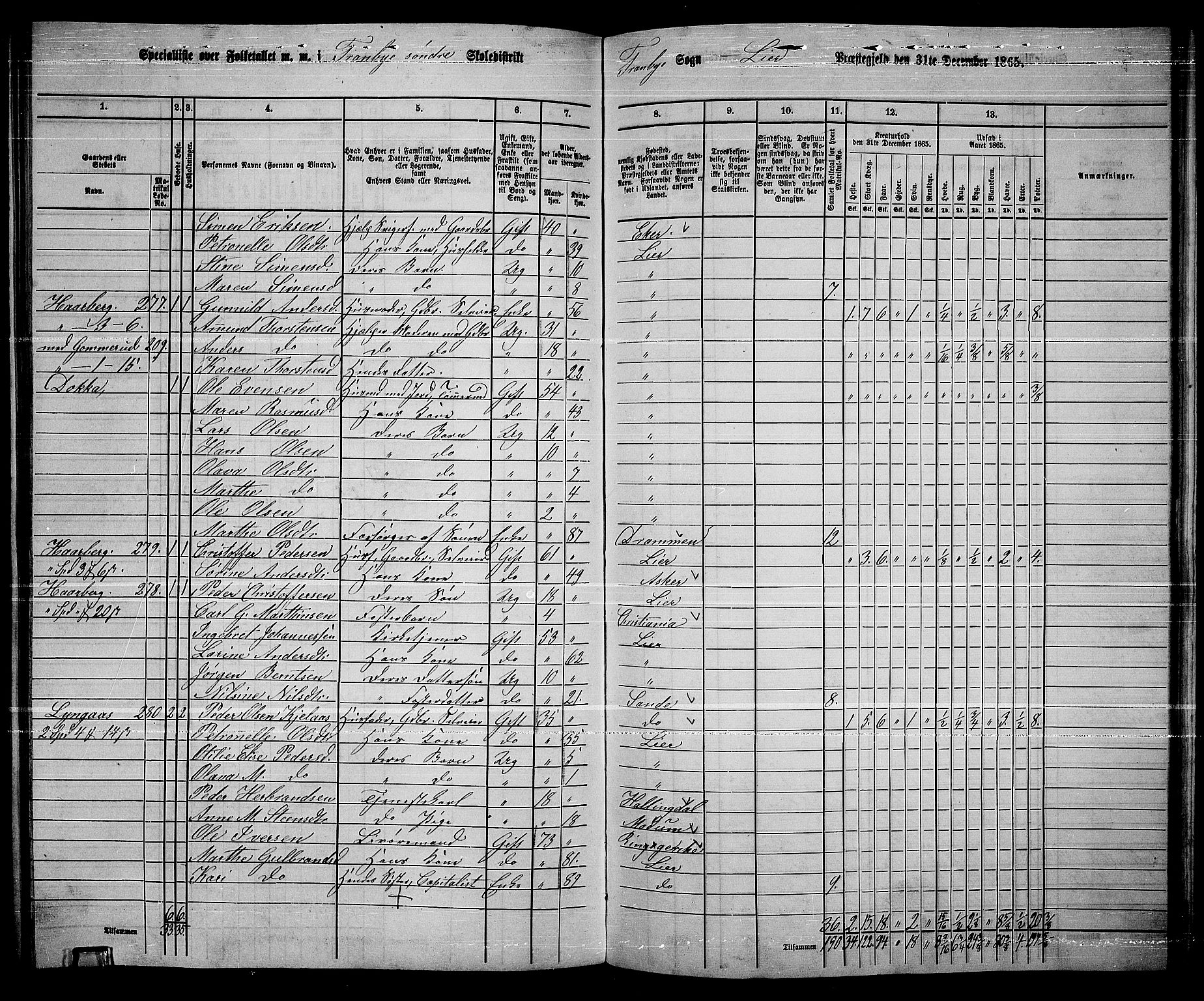 RA, 1865 census for Lier, 1865, p. 189