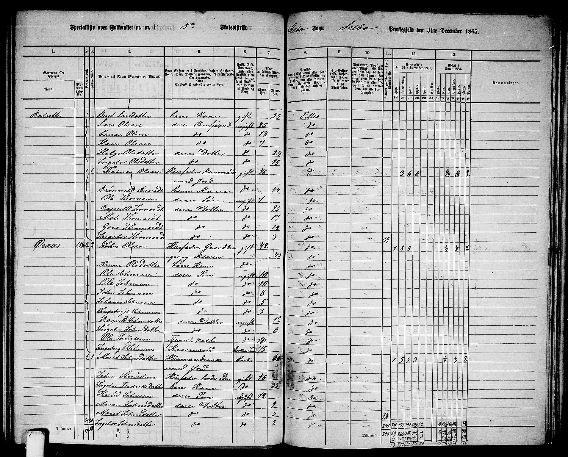 RA, 1865 census for Selbu, 1865, p. 144