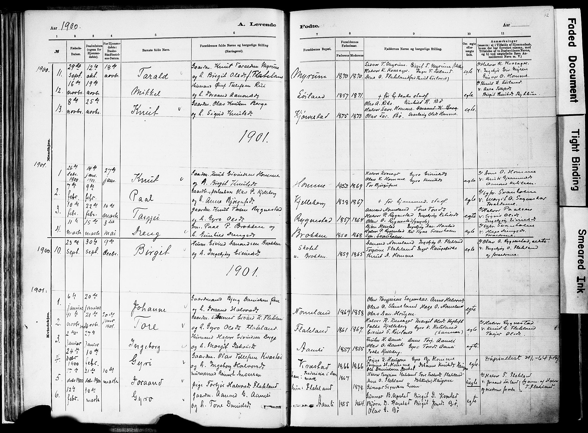 Valle sokneprestkontor, SAK/1111-0044/F/Fa/Fac/L0009: Parish register (official) no. A 9, 1882-1913, p. 42