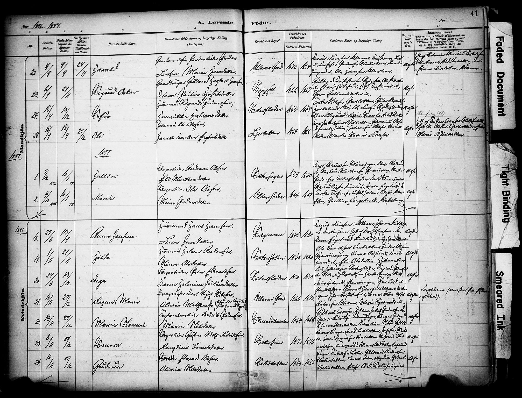 Sør-Odal prestekontor, SAH/PREST-030/H/Ha/Haa/L0008: Parish register (official) no. 8, 1886-1922, p. 41