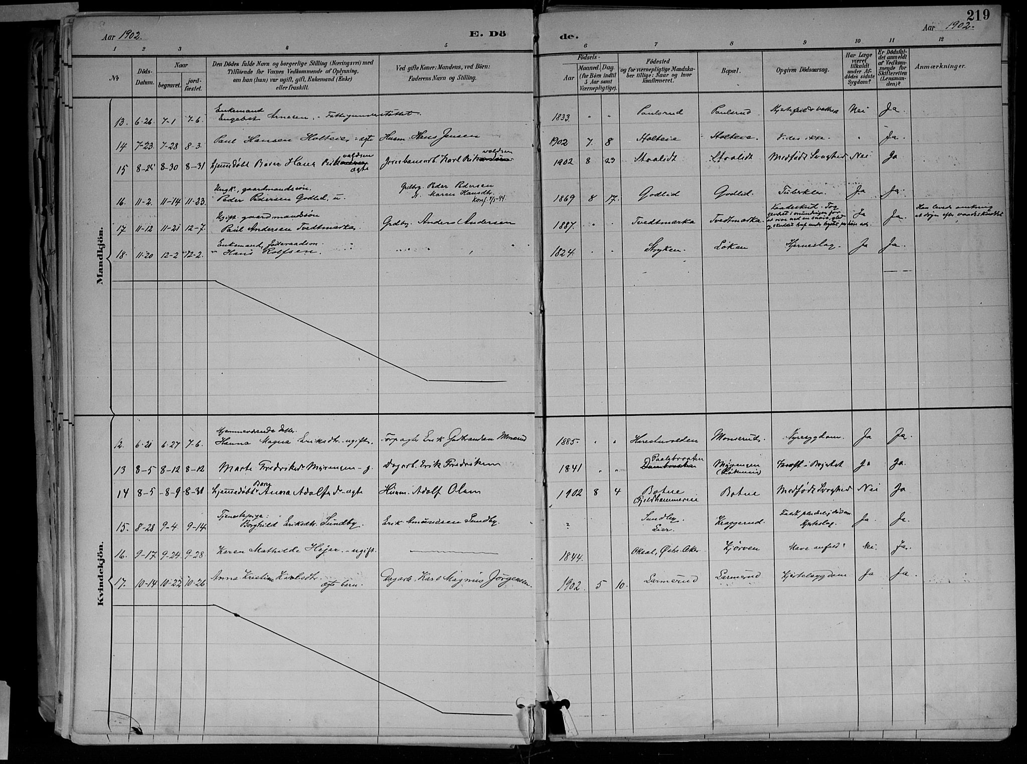 Jevnaker prestekontor, SAH/PREST-116/H/Ha/Haa/L0010: Parish register (official) no. 10, 1891-1906, p. 219