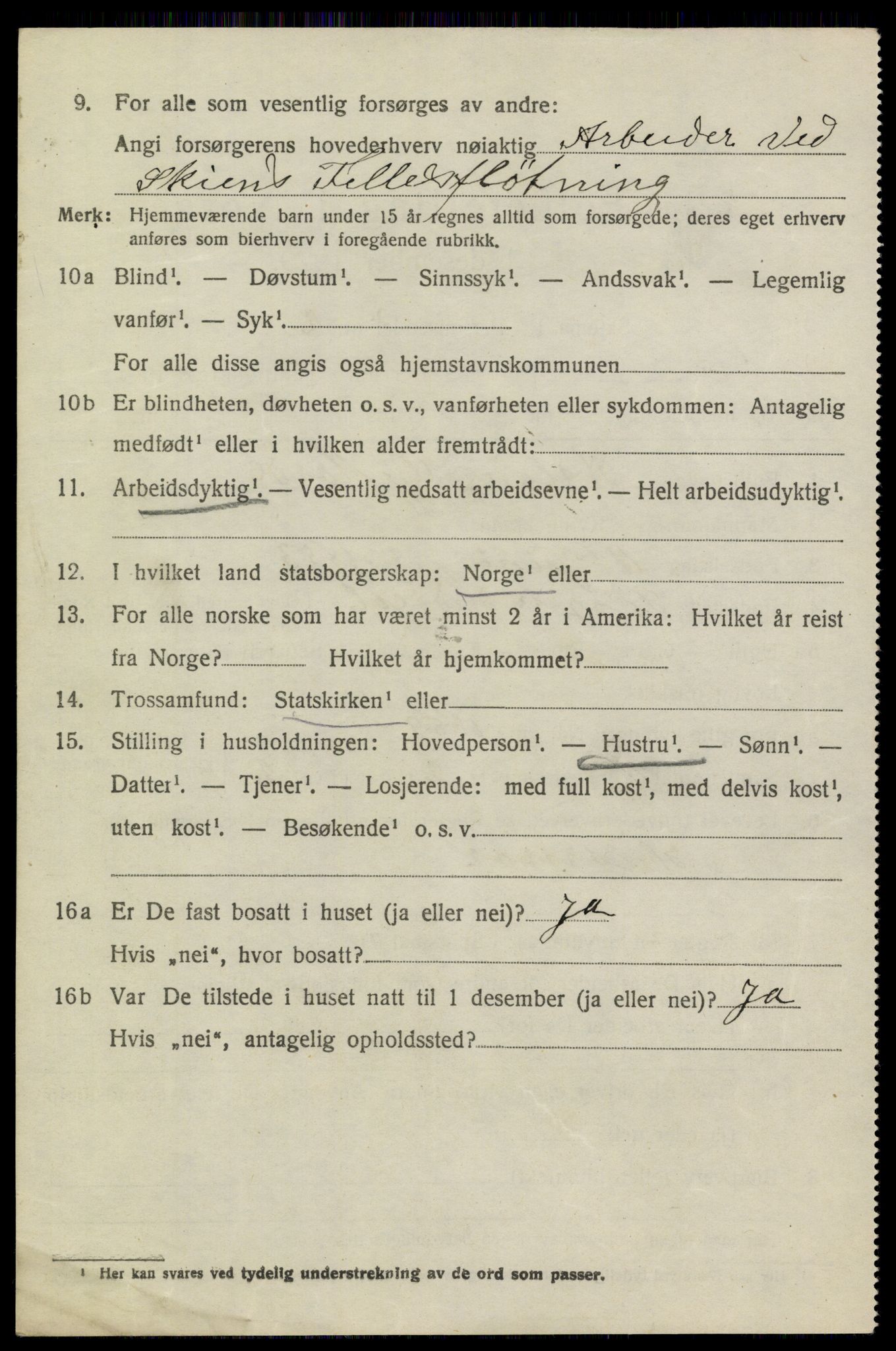 SAKO, 1920 census for Heddal, 1920, p. 1309