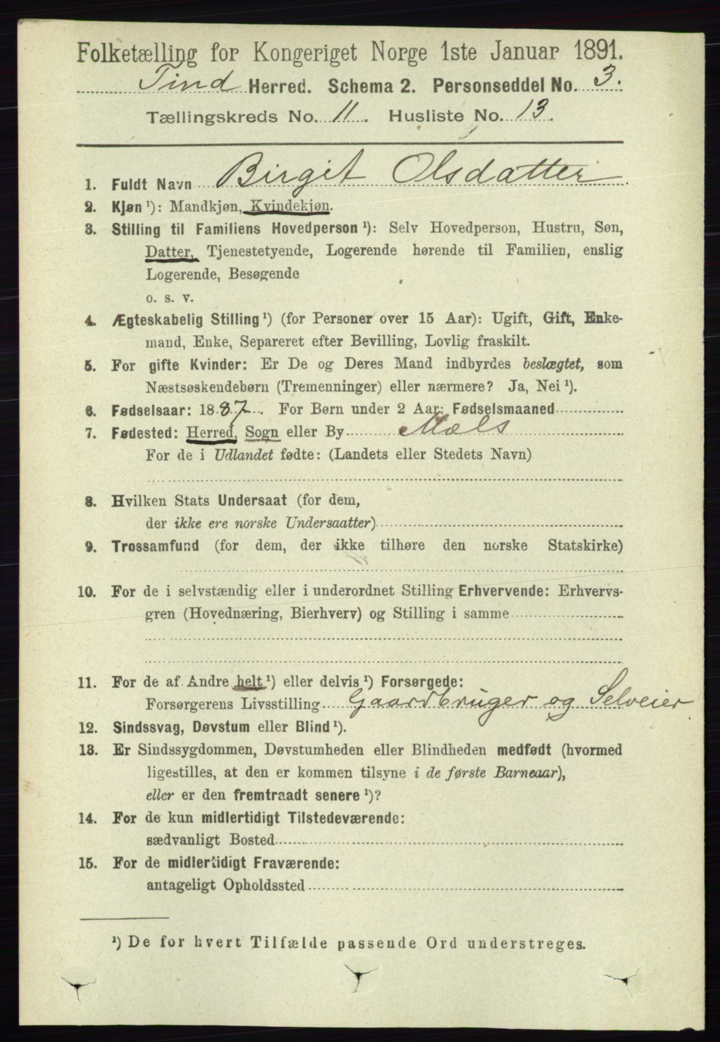 RA, 1891 census for 0826 Tinn, 1891, p. 2183