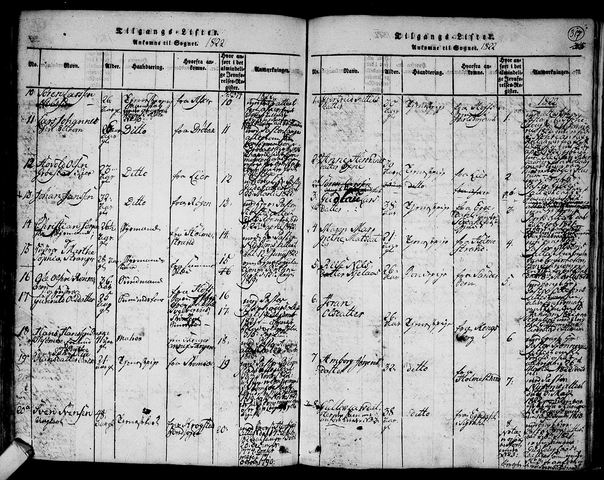 Hurum kirkebøker, AV/SAKO-A-229/F/Fa/L0009: Parish register (official) no. 9, 1816-1826, p. 317