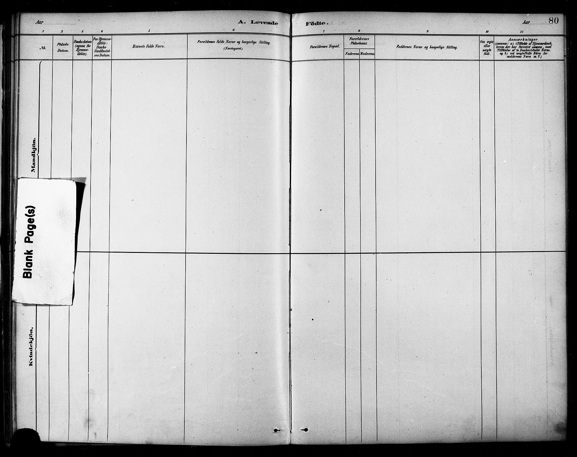 Ministerialprotokoller, klokkerbøker og fødselsregistre - Nordland, AV/SAT-A-1459/849/L0689: Parish register (official) no. 849A01, 1879-1889, p. 80