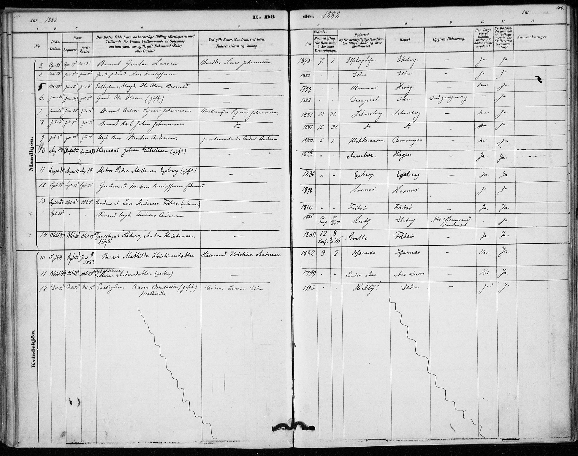 Sem kirkebøker, AV/SAKO-A-5/F/Fa/L0010: Parish register (official) no. I 10, 1878-1887, p. 106