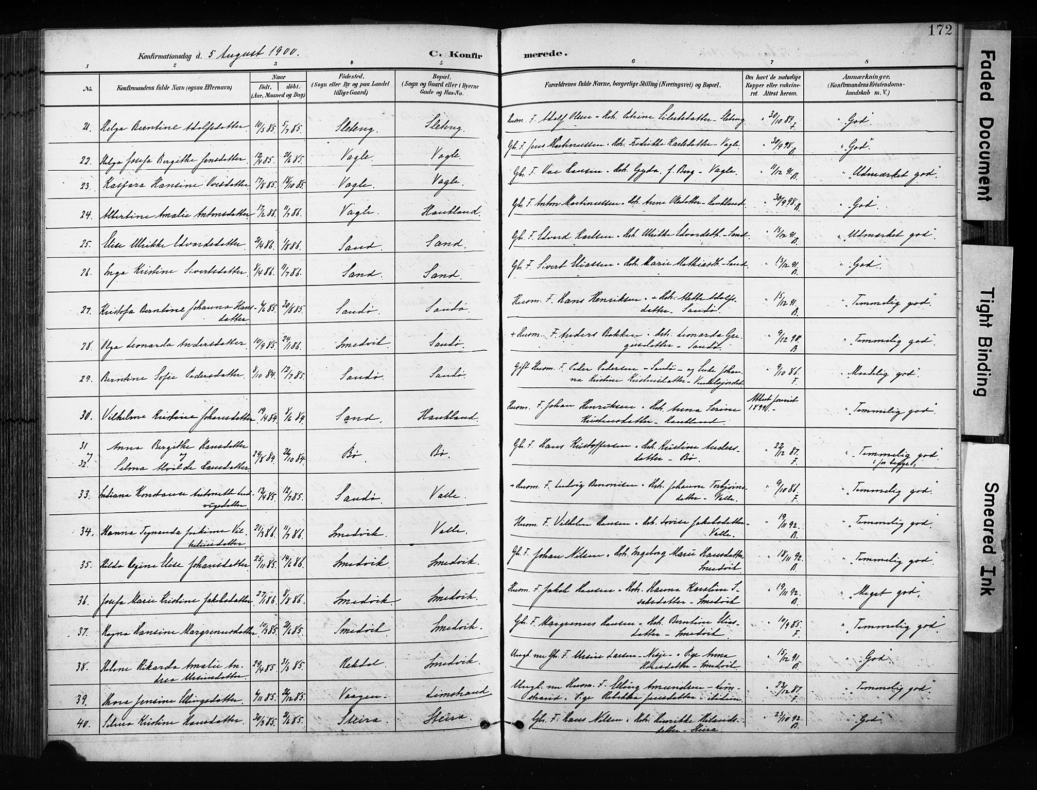 Ministerialprotokoller, klokkerbøker og fødselsregistre - Nordland, AV/SAT-A-1459/880/L1134: Parish register (official) no. 880A08, 1899-1908, p. 172