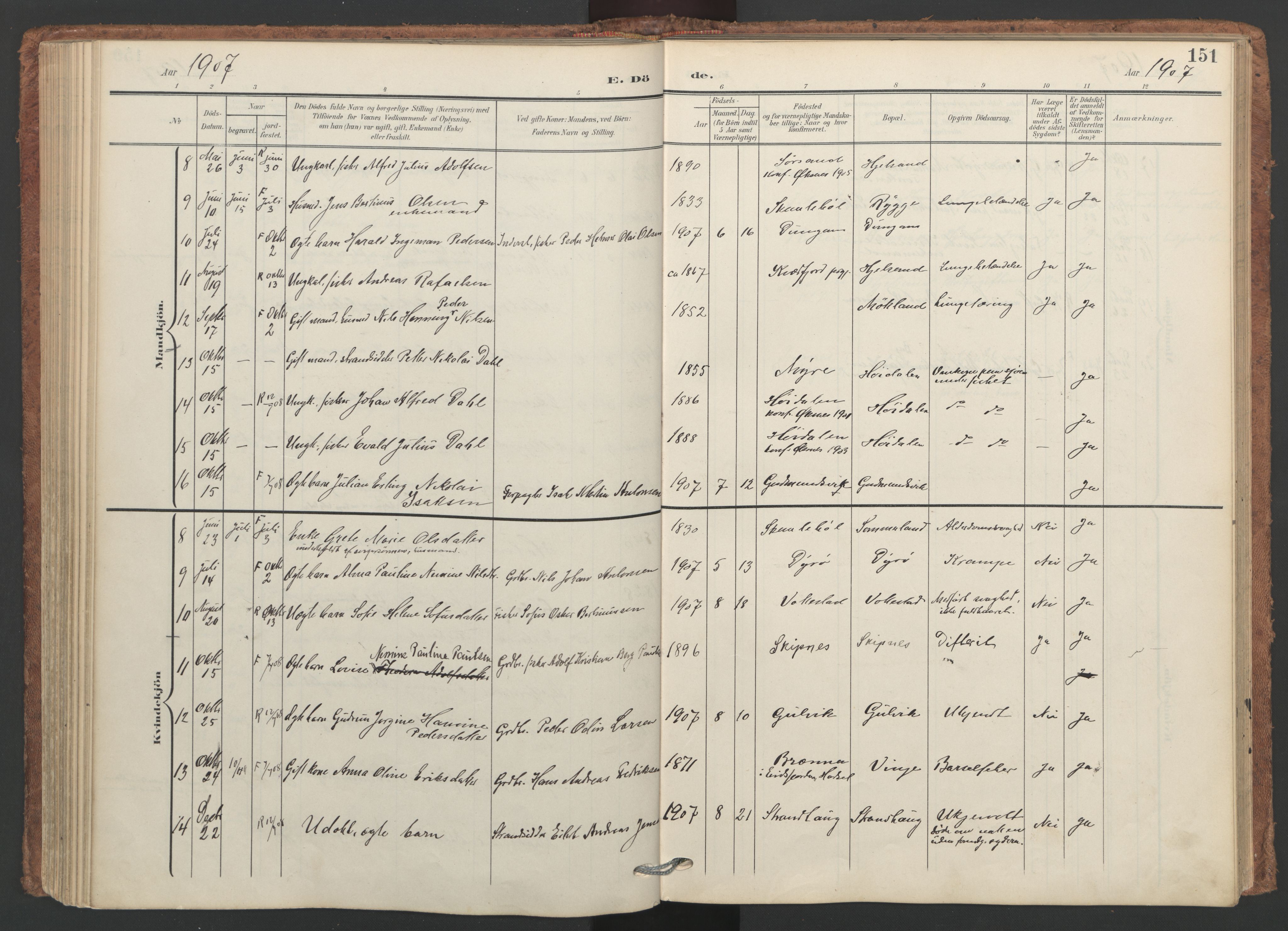 Ministerialprotokoller, klokkerbøker og fødselsregistre - Nordland, SAT/A-1459/893/L1339: Parish register (official) no. 893A11, 1904-1914, p. 151