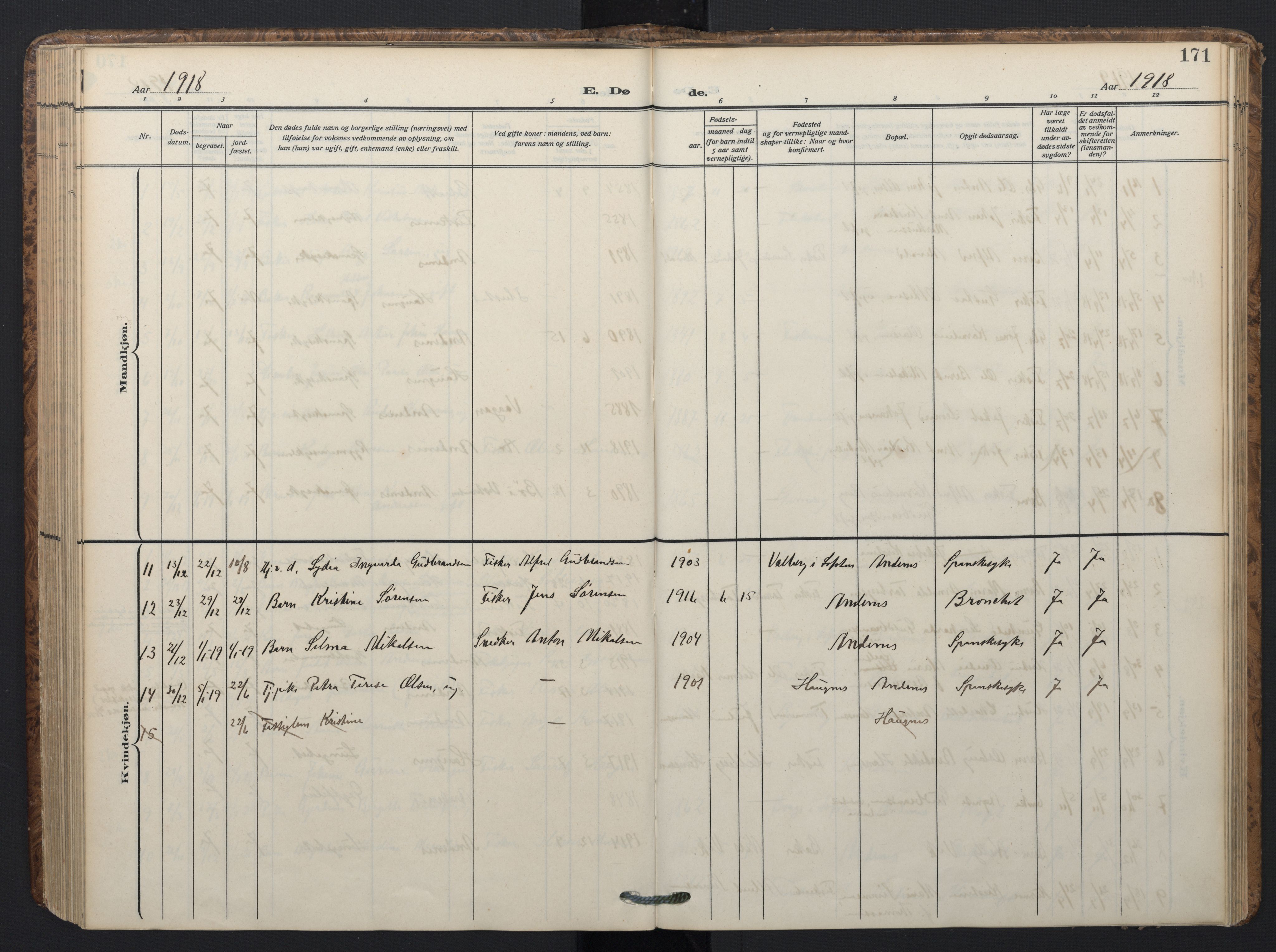 Ministerialprotokoller, klokkerbøker og fødselsregistre - Nordland, SAT/A-1459/899/L1438: Parish register (official) no. 899A06, 1909-1922, p. 171