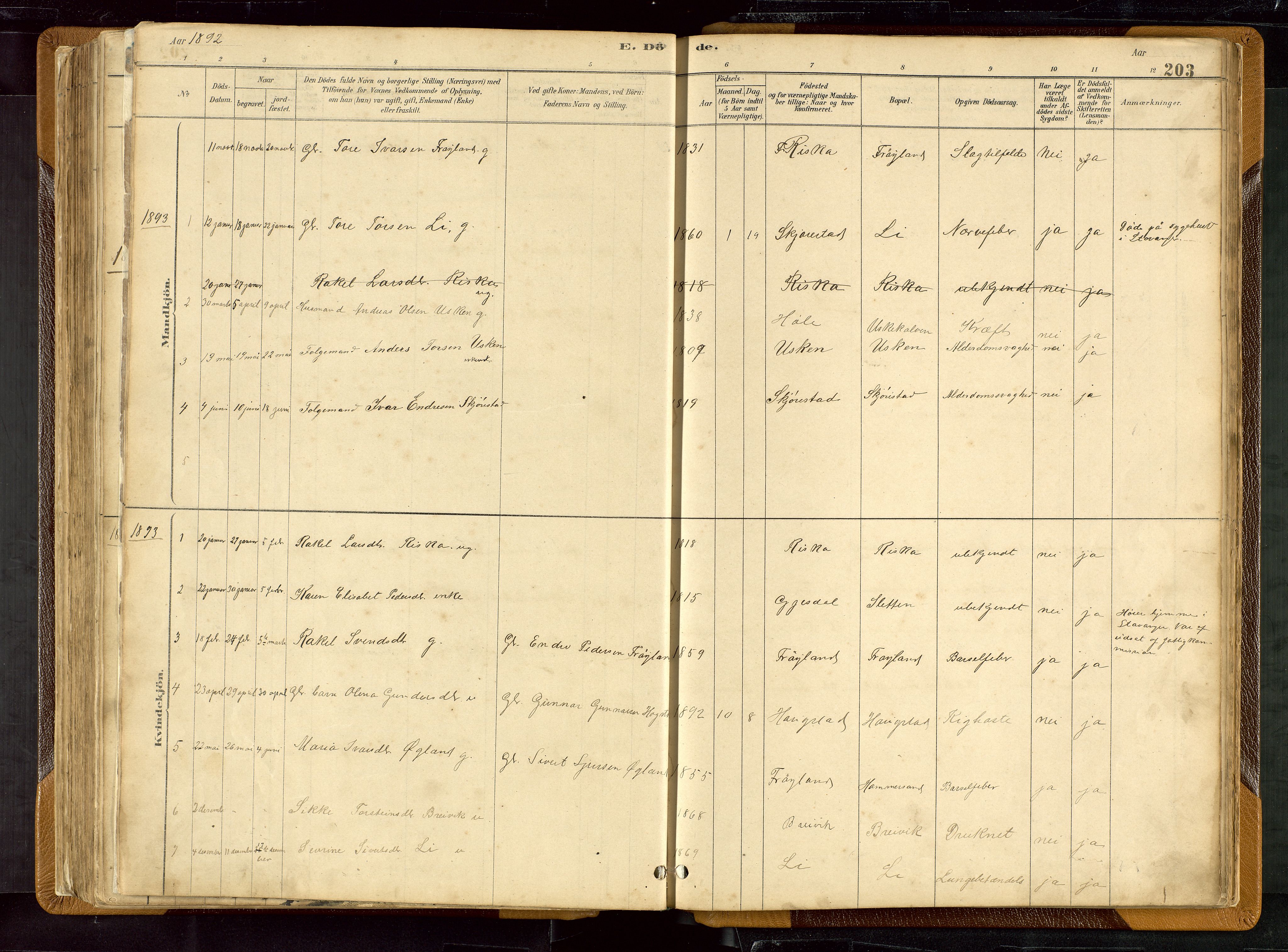 Hetland sokneprestkontor, SAST/A-101826/30/30BB/L0007: Parish register (copy) no. B 7, 1878-1910, p. 203