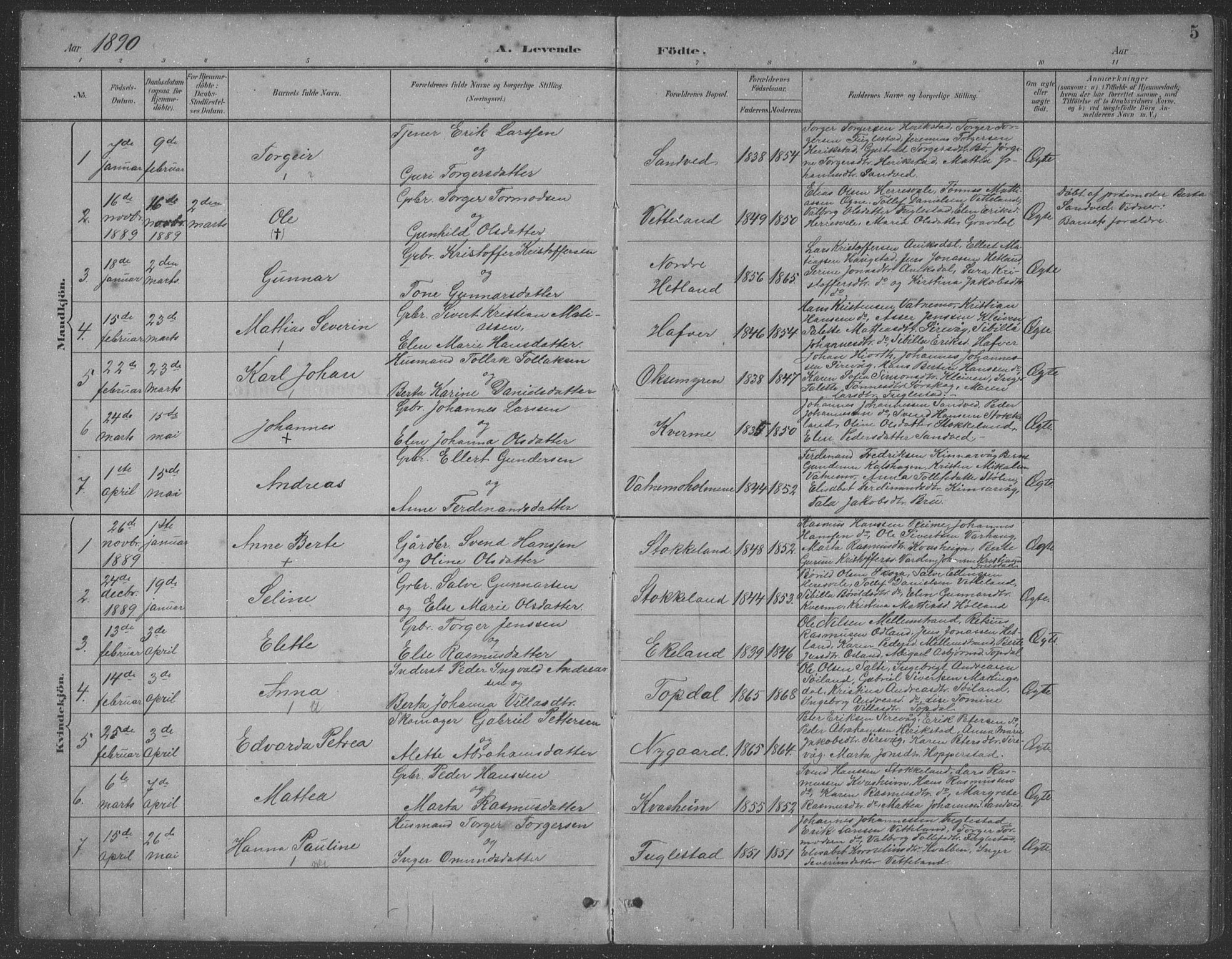 Eigersund sokneprestkontor, SAST/A-101807/S09: Parish register (copy) no. B 21, 1890-1915, p. 5