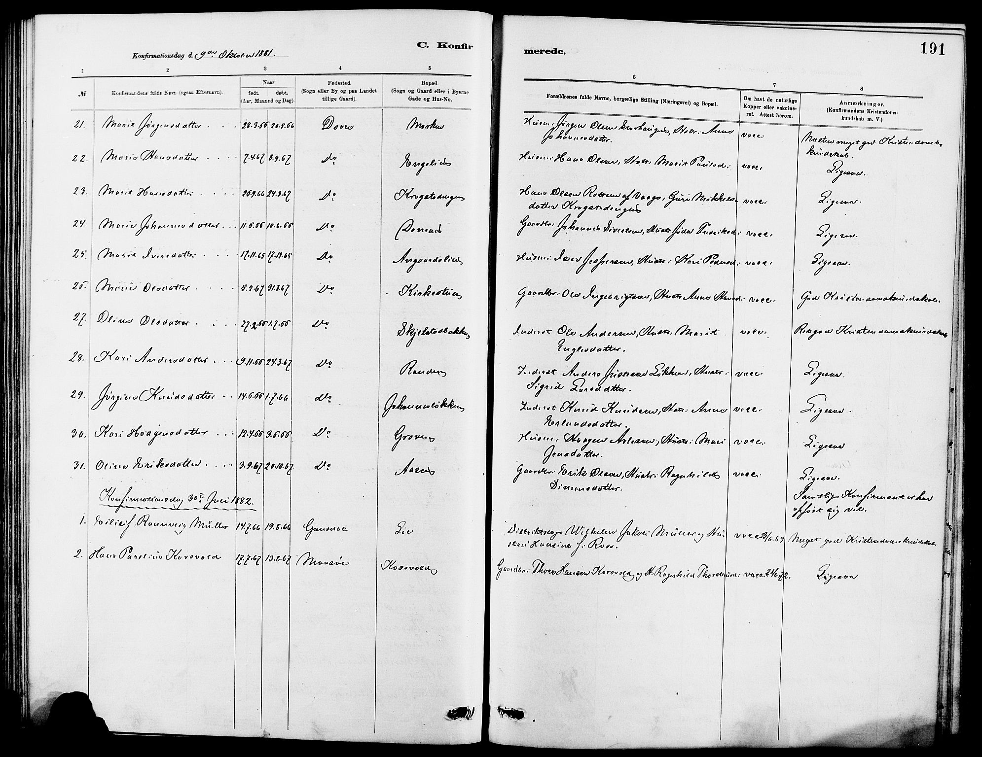 Dovre prestekontor, SAH/PREST-066/H/Ha/Hab/L0002: Parish register (copy) no. 2, 1881-1907, p. 191