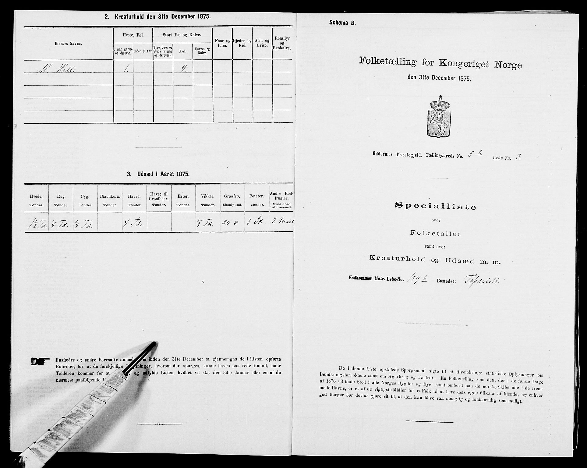 SAK, 1875 census for 1012P Oddernes, 1875, p. 849