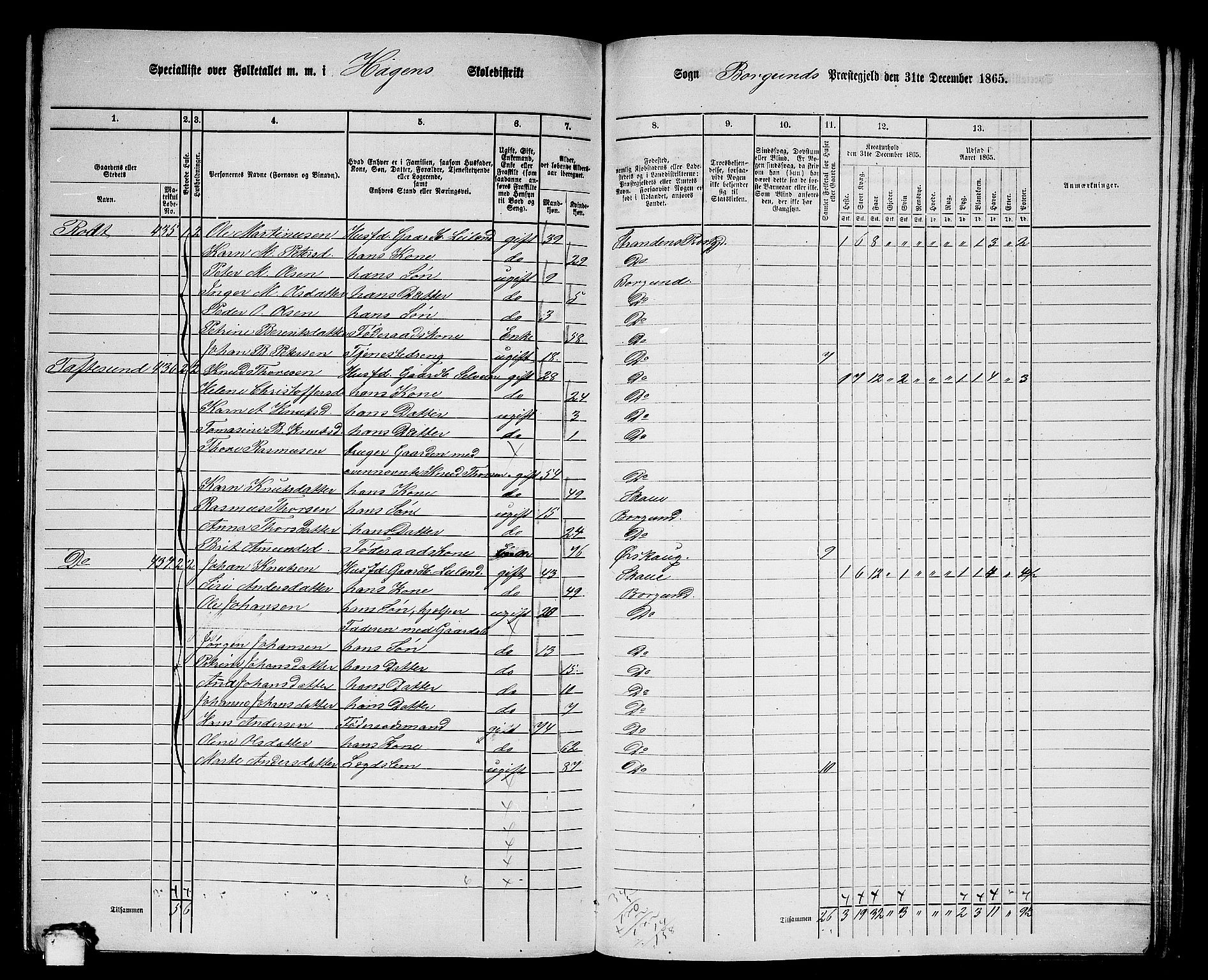 RA, 1865 census for Borgund, 1865, p. 217