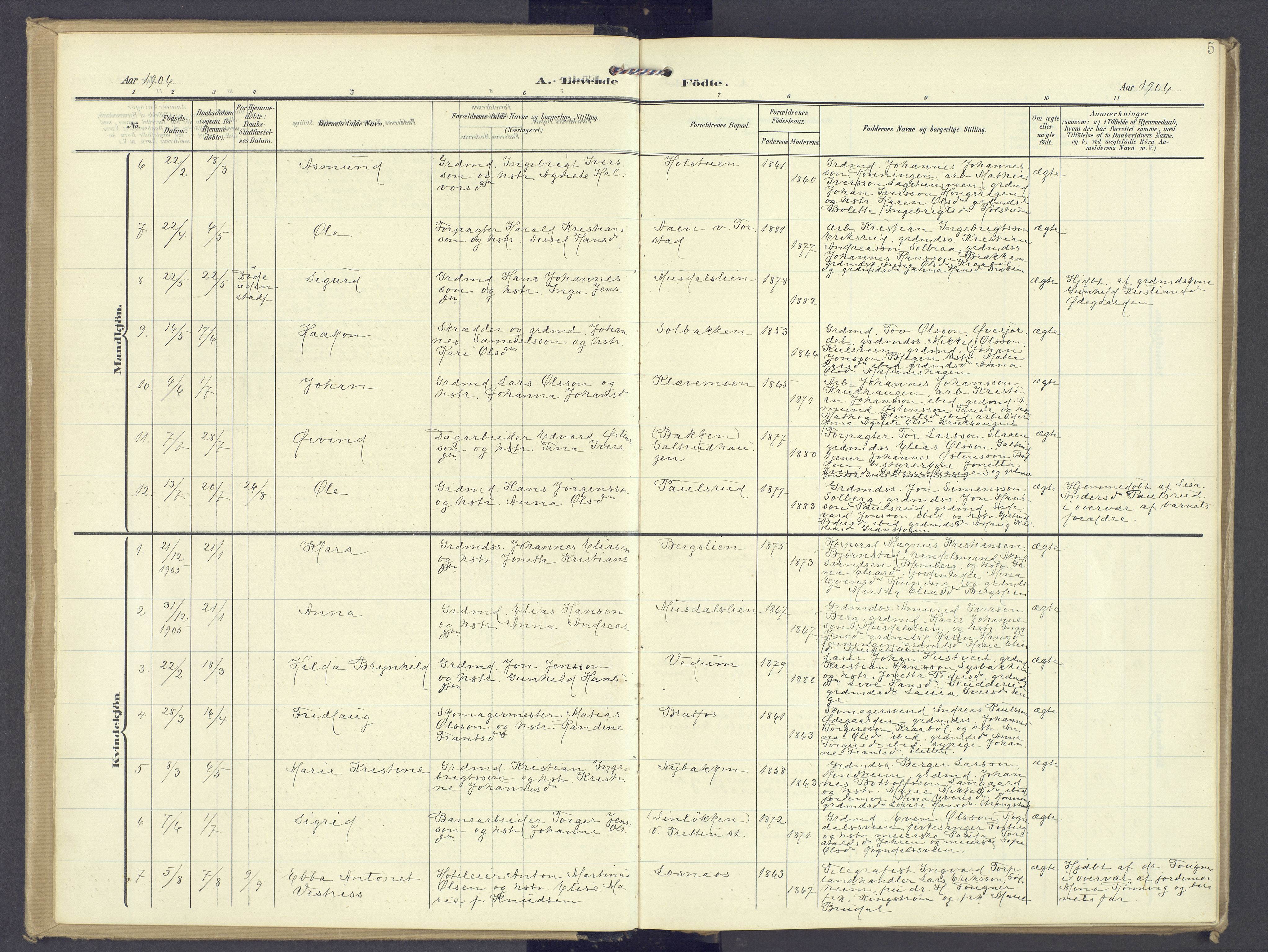 Øyer prestekontor, SAH/PREST-084/H/Ha/Haa/L0013: Parish register (official) no. 13, 1905-1920, p. 5