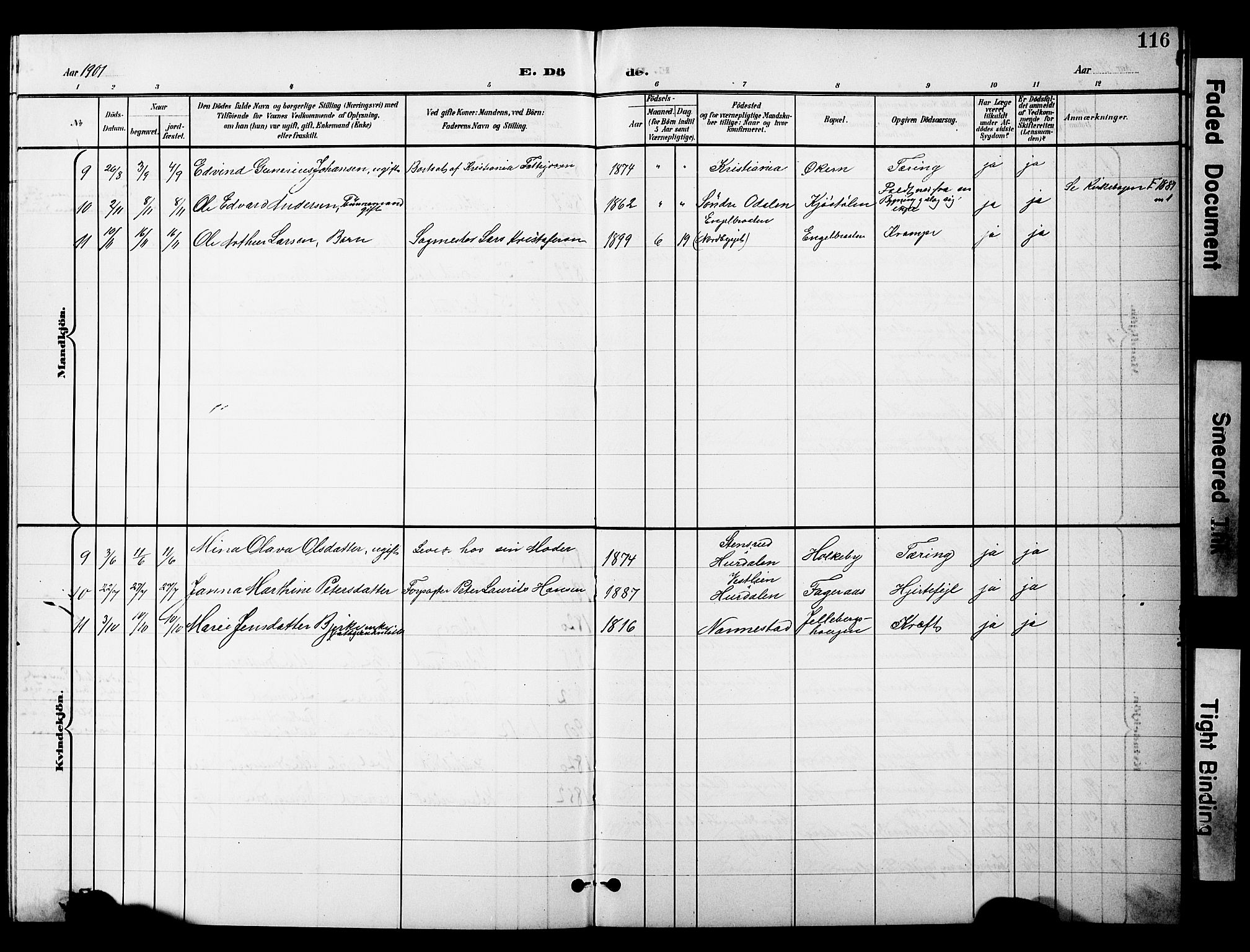 Nannestad prestekontor Kirkebøker, SAO/A-10414a/G/Gc/L0001: Parish register (copy) no. III 1, 1901-1916, p. 116