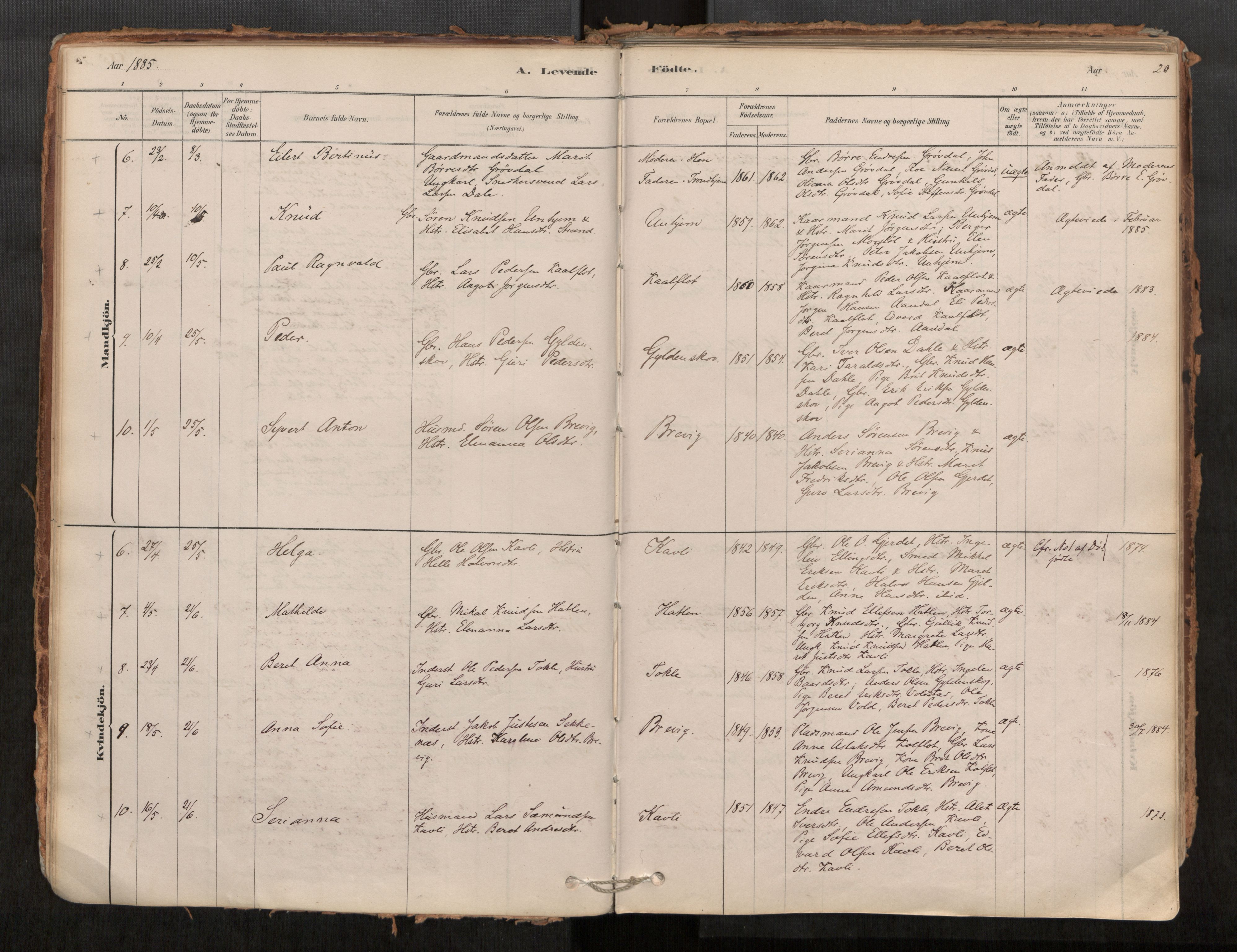 Ministerialprotokoller, klokkerbøker og fødselsregistre - Møre og Romsdal, AV/SAT-A-1454/545/L0594: Parish register (official) no. 545A03, 1878-1920, p. 20