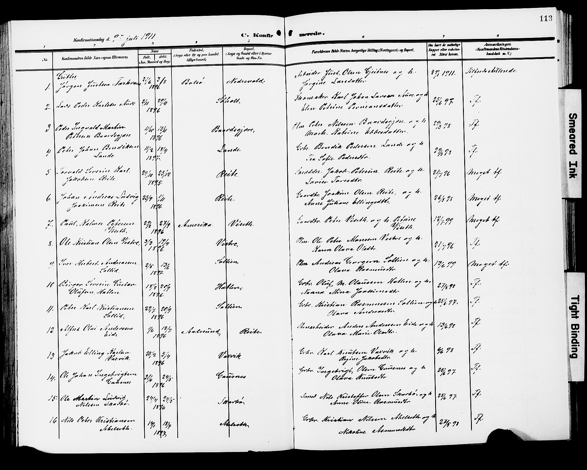 Ministerialprotokoller, klokkerbøker og fødselsregistre - Møre og Romsdal, AV/SAT-A-1454/522/L0328: Parish register (copy) no. 522C07, 1909-1925, p. 113