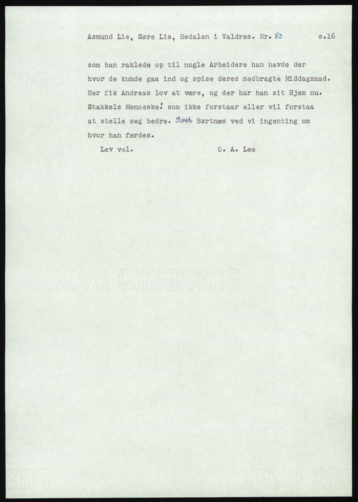 Samlinger til kildeutgivelse, Amerikabrevene, AV/RA-EA-4057/F/L0013: Innlån fra Oppland: Lie (brevnr 79-115) - Nordrum, 1838-1914, p. 45