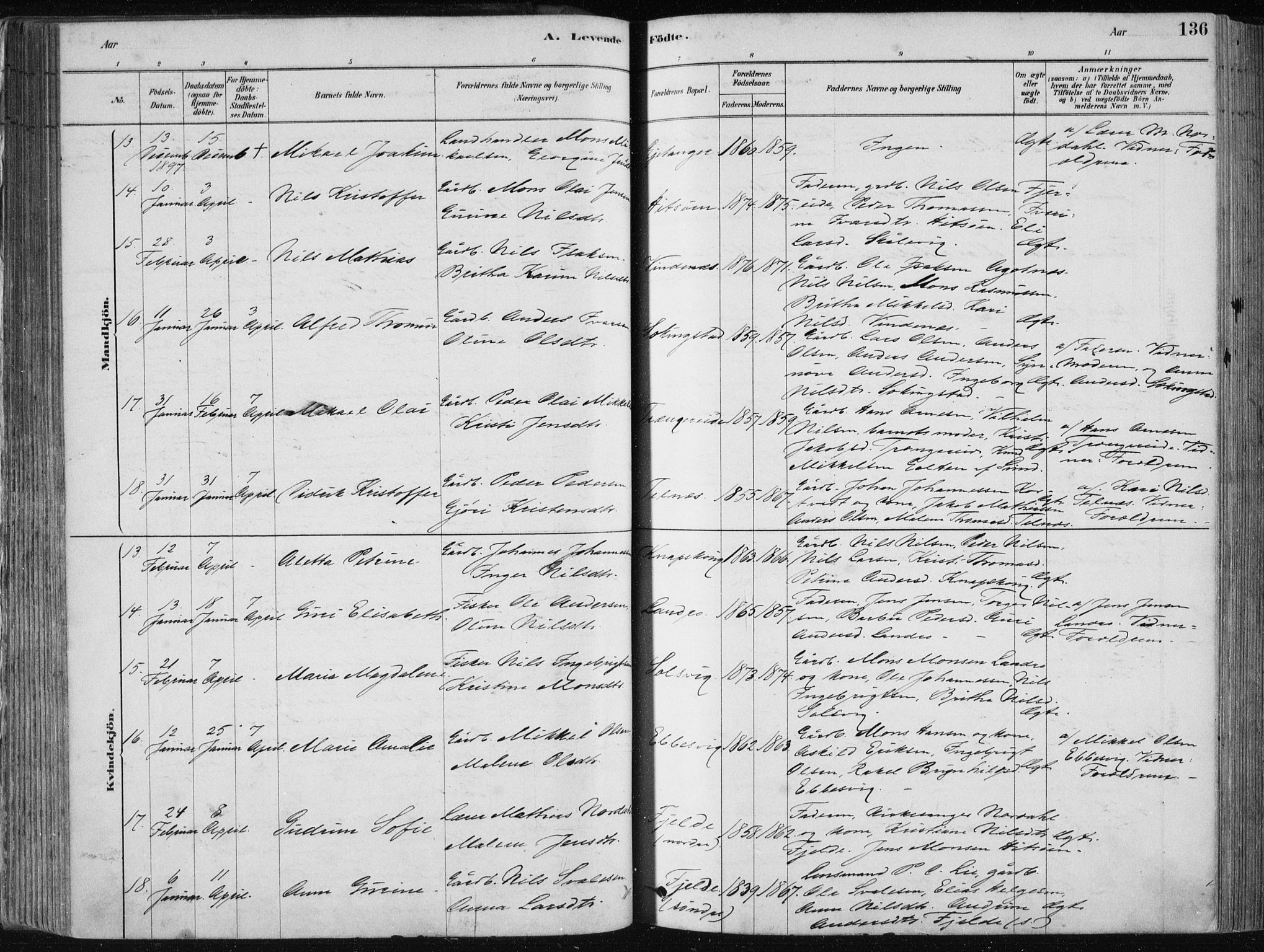 Fjell sokneprestembete, SAB/A-75301/H/Haa: Parish register (official) no. A  8, 1878-1898, p. 136