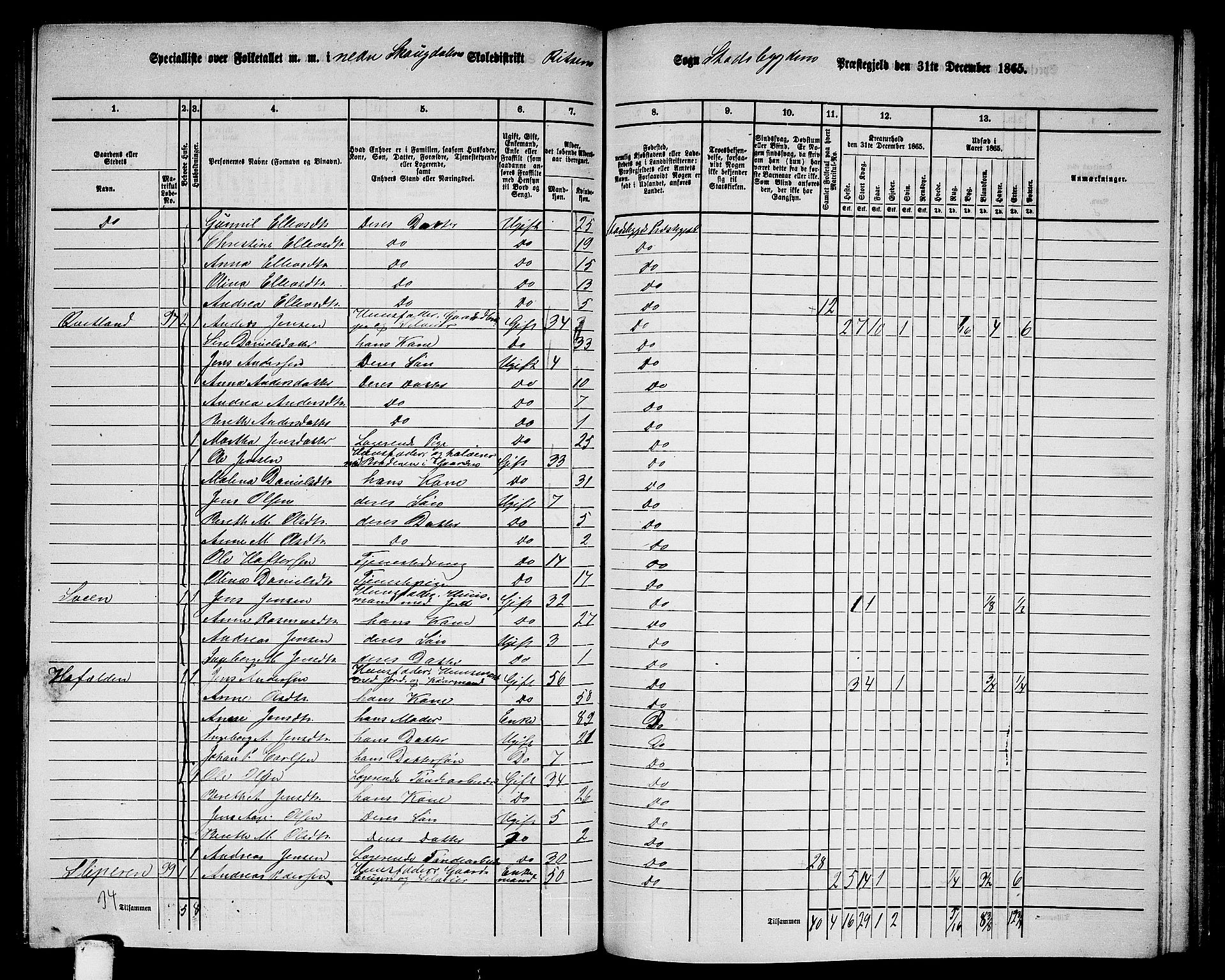 RA, 1865 census for Stadsbygd, 1865, p. 153