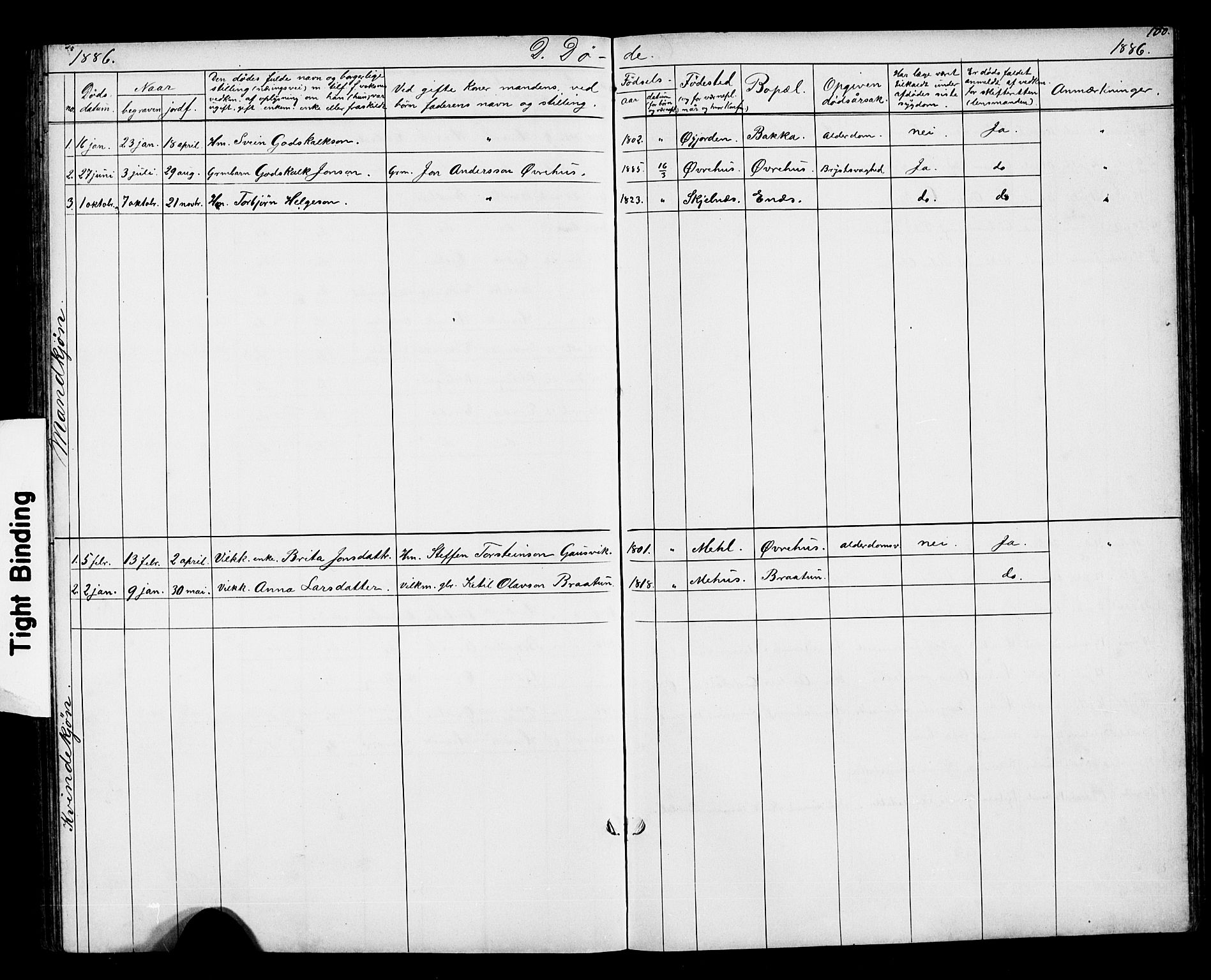 Kvinnherad sokneprestembete, SAB/A-76401/H/Hab: Parish register (copy) no. D 1, 1856-1905, p. 100