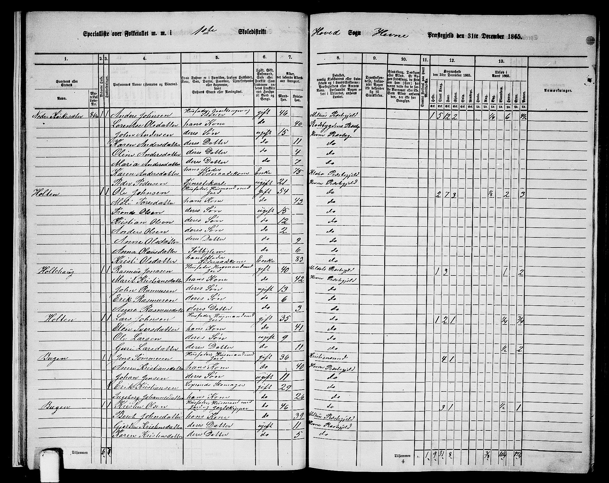 RA, 1865 census for Hemne, 1865, p. 18