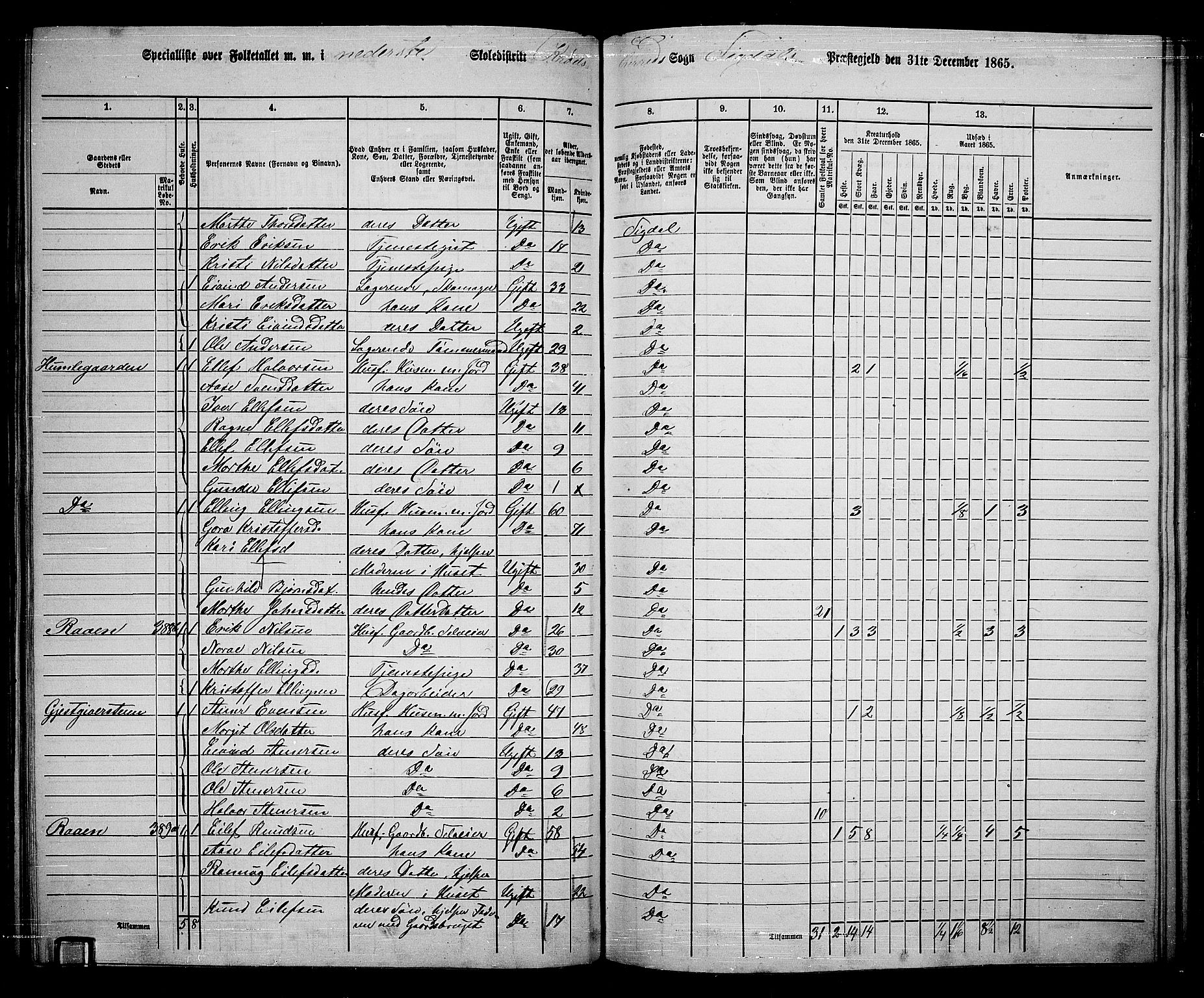 RA, 1865 census for Sigdal, 1865, p. 209