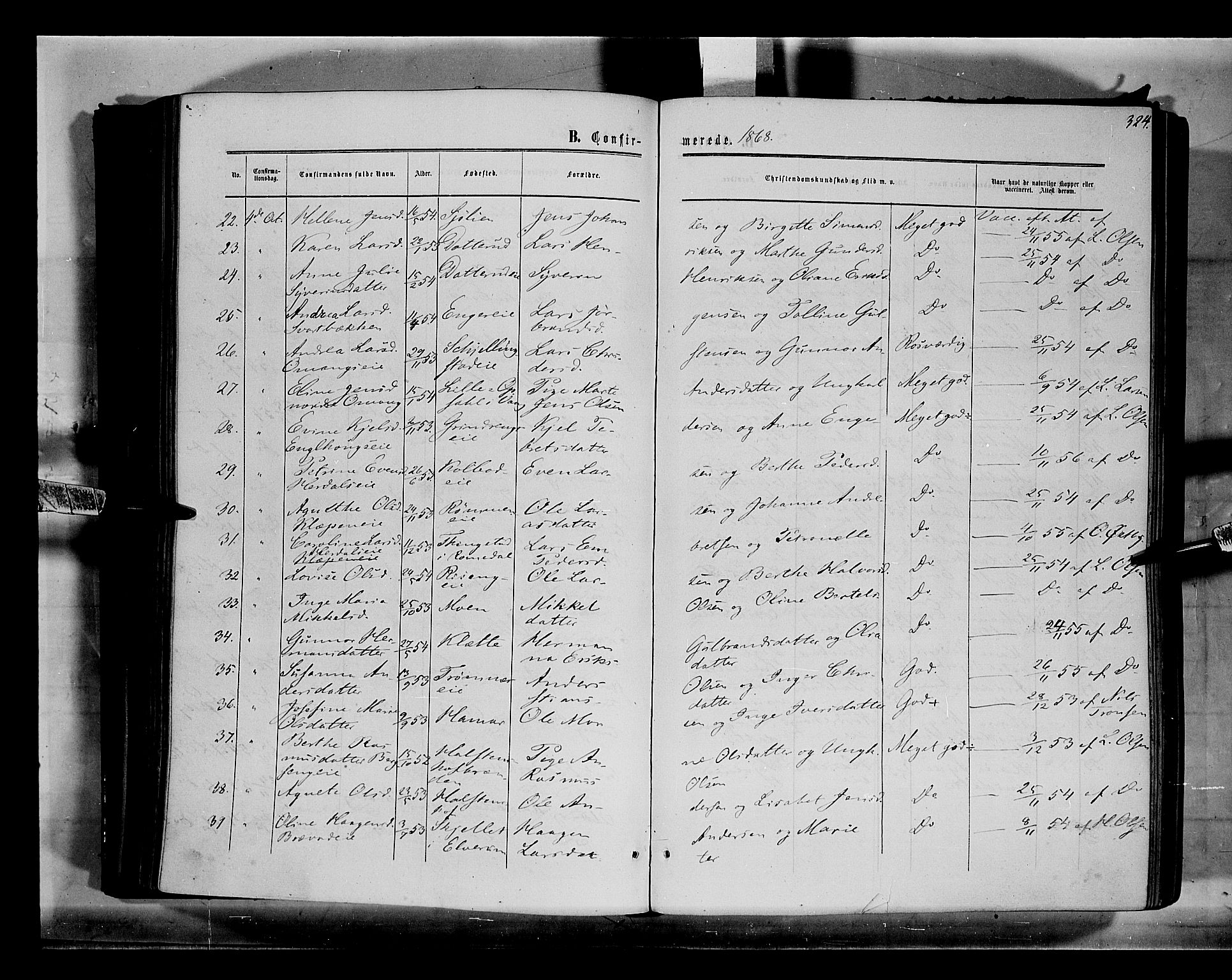 Løten prestekontor, AV/SAH-PREST-022/K/Ka/L0008: Parish register (official) no. 8, 1860-1877, p. 324