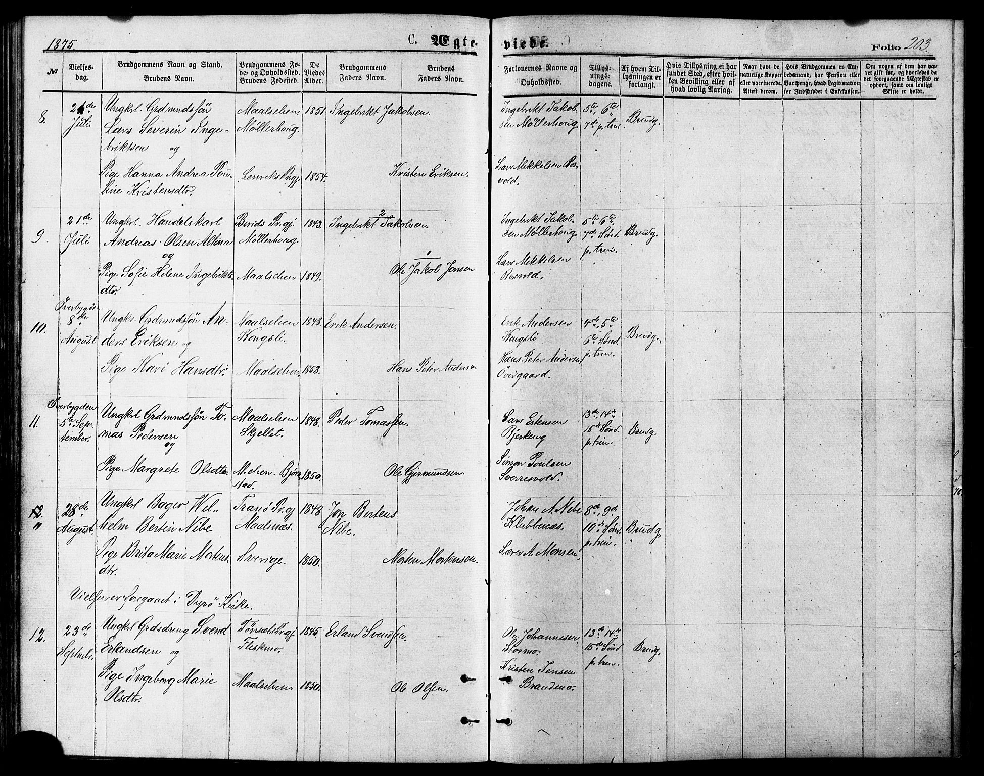 Målselv sokneprestembete, SATØ/S-1311/G/Ga/Gaa/L0005kirke: Parish register (official) no. 5, 1872-1884, p. 203