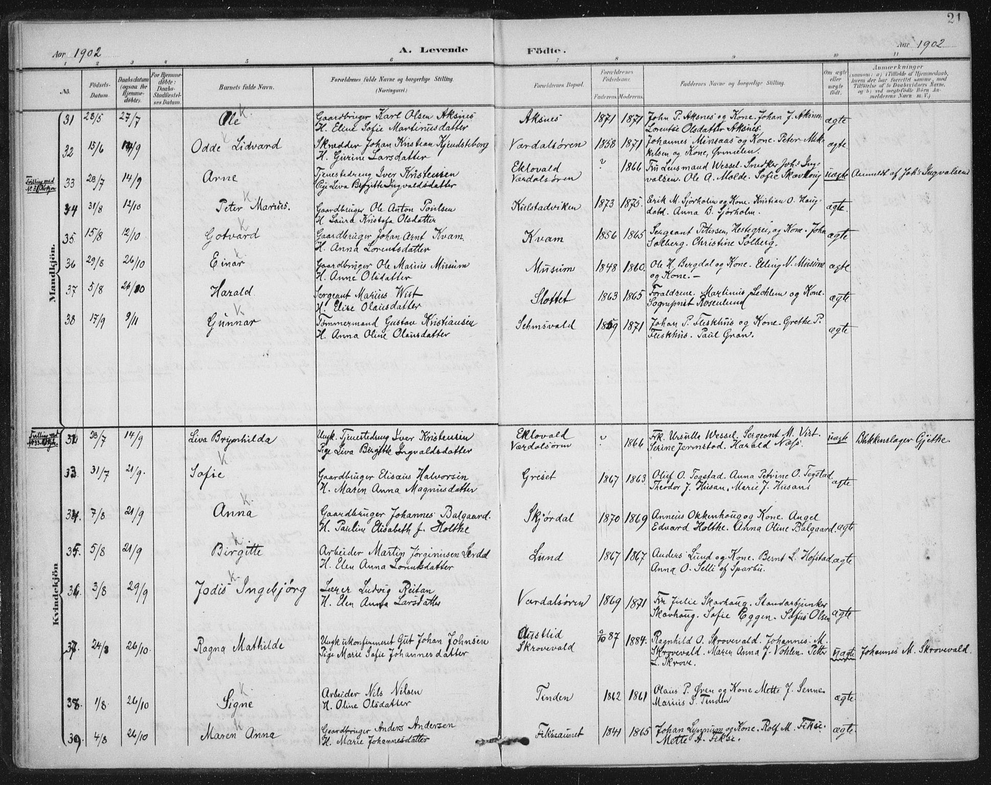 Ministerialprotokoller, klokkerbøker og fødselsregistre - Nord-Trøndelag, SAT/A-1458/723/L0246: Parish register (official) no. 723A15, 1900-1917, p. 21