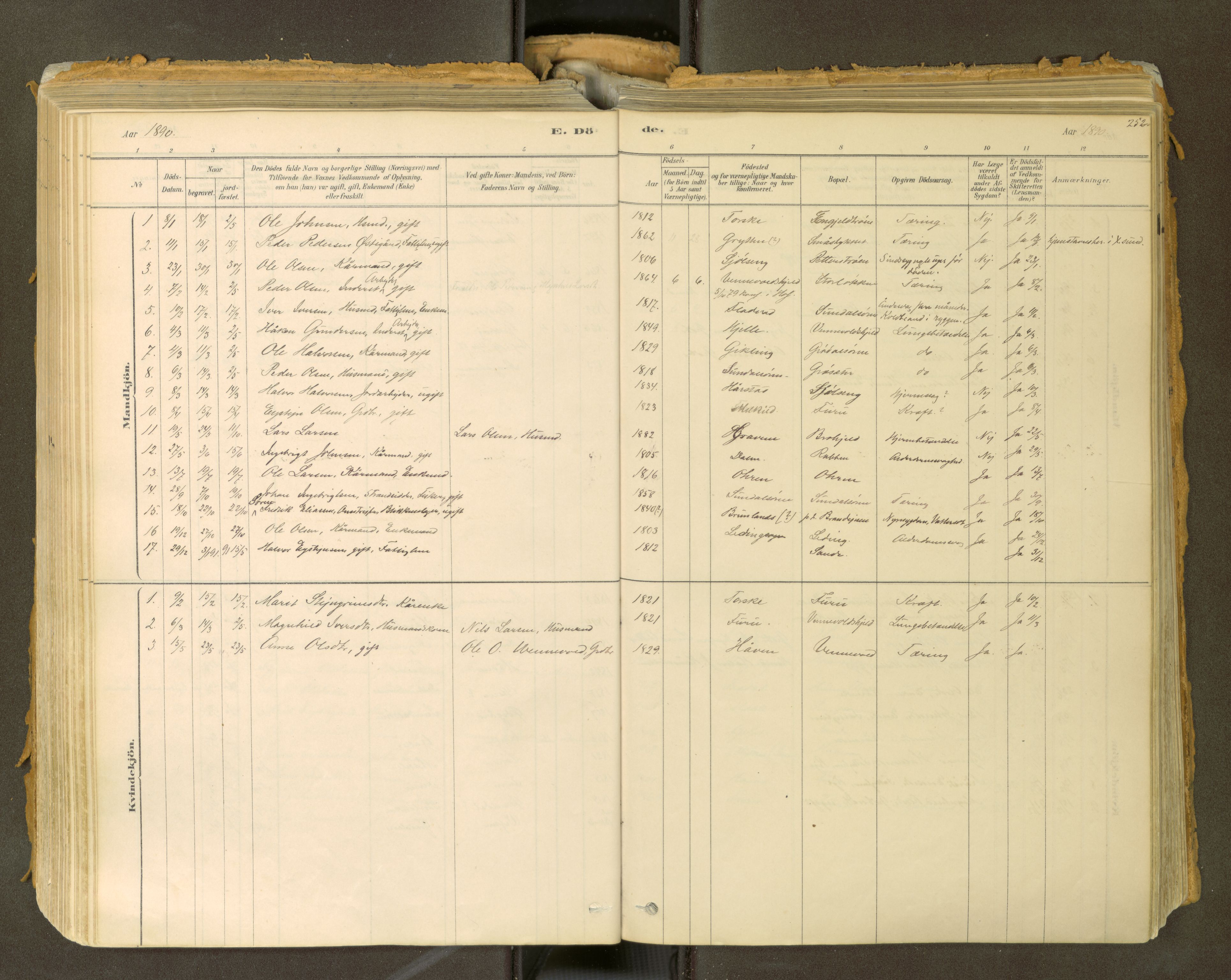 Sunndal sokneprestkontor, SAT/A-1085/1/I/I1/I1a: Parish register (official) no. 2, 1877-1914, p. 252