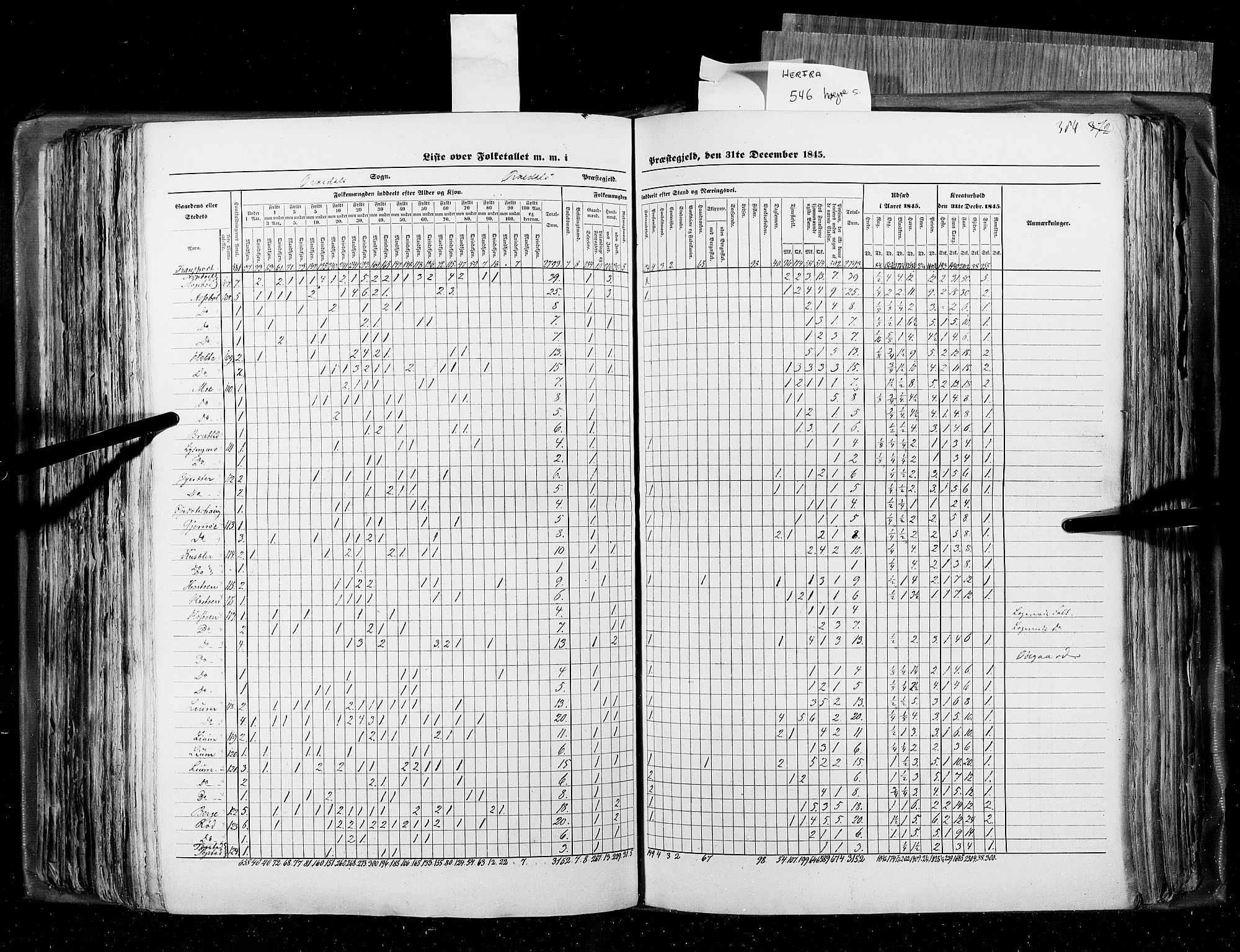 RA, Census 1845, vol. 8: Romsdal amt og Søndre Trondhjems amt, 1845, p. 384