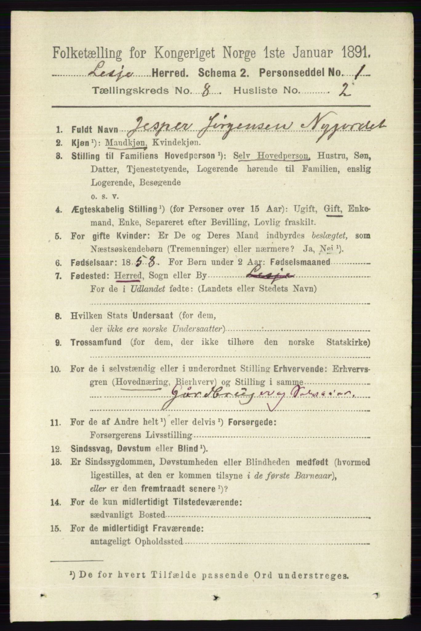 RA, 1891 census for 0512 Lesja, 1891, p. 2991