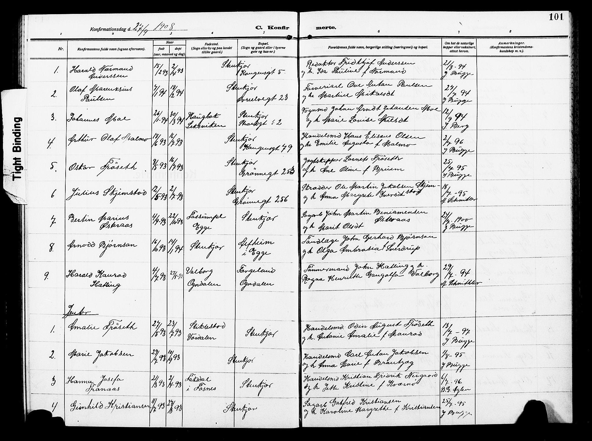 Ministerialprotokoller, klokkerbøker og fødselsregistre - Nord-Trøndelag, AV/SAT-A-1458/739/L0376: Parish register (copy) no. 739C04, 1908-1917, p. 101